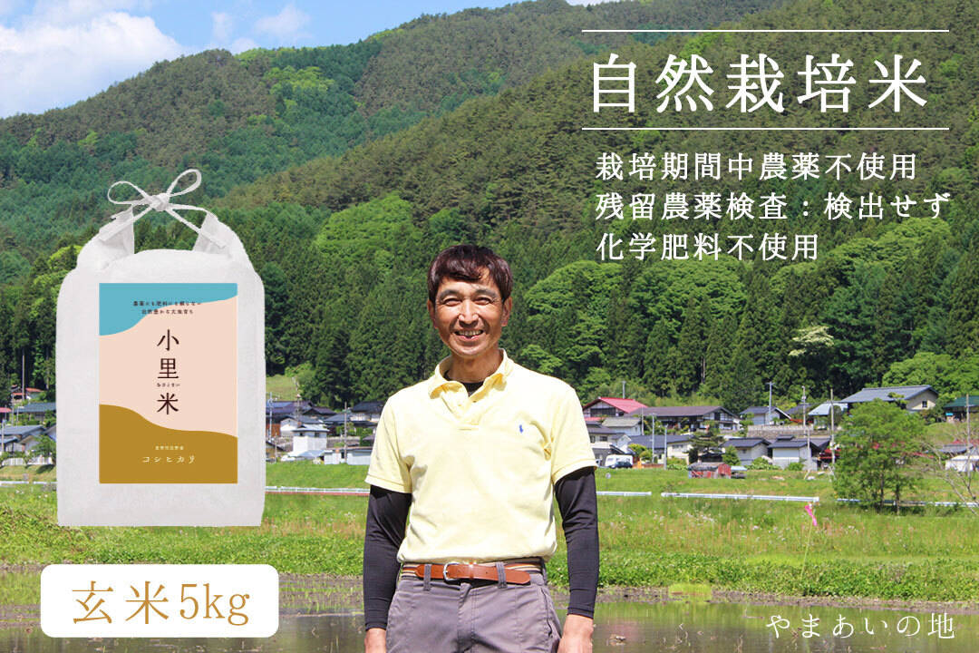 市場 令和3年産こしひかり 長野県 JAS 木島平産 玄米 丸山さん家の無農薬 1kg 有機栽培米 有名ブランド お試し お米 JAS認定