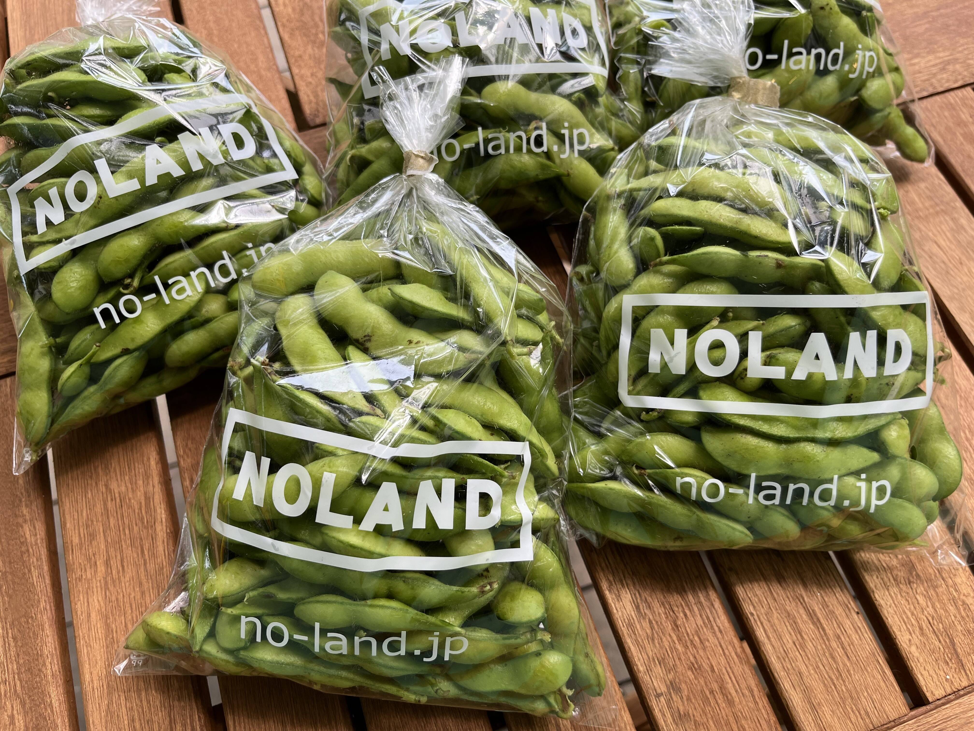 【2kg】丹波黒枝豆『どらまめ』：千葉県産の黒豆｜食べチョク｜産地直送(産直)お取り寄せ通販 - 農家・漁師から旬の食材を直送～イメージ画像１～