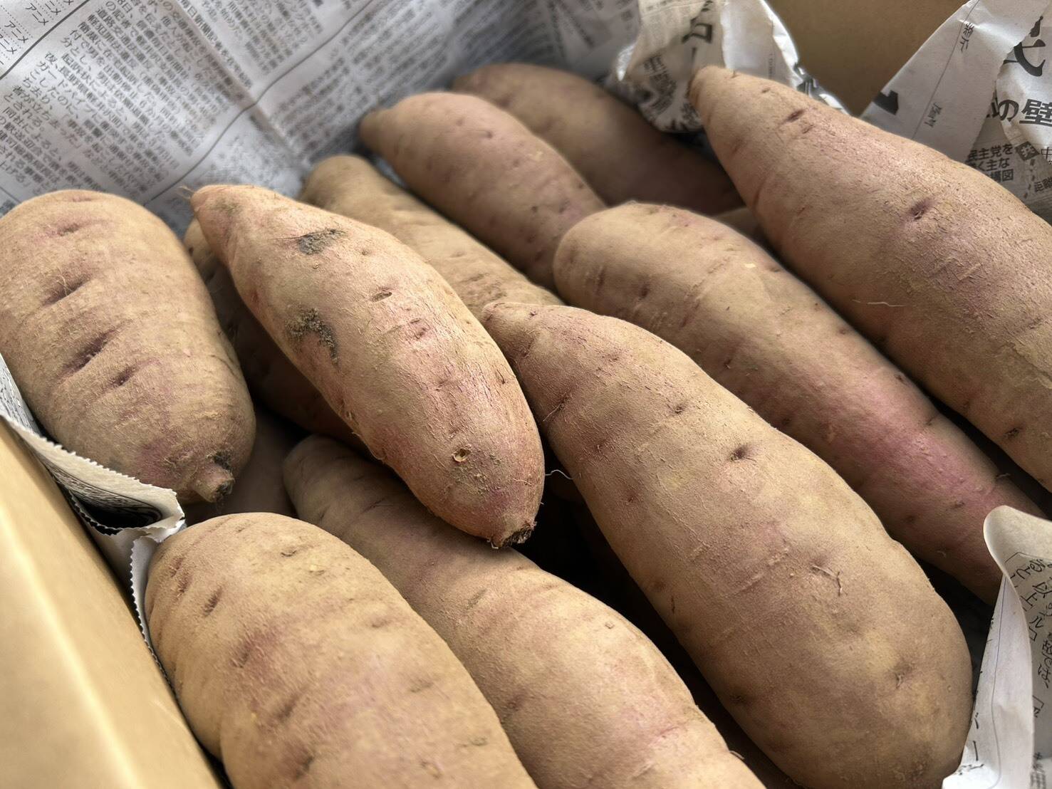 ねっとり甘い】熟成有機さつまいも 紅はるか 2kg（訳あり・家庭用