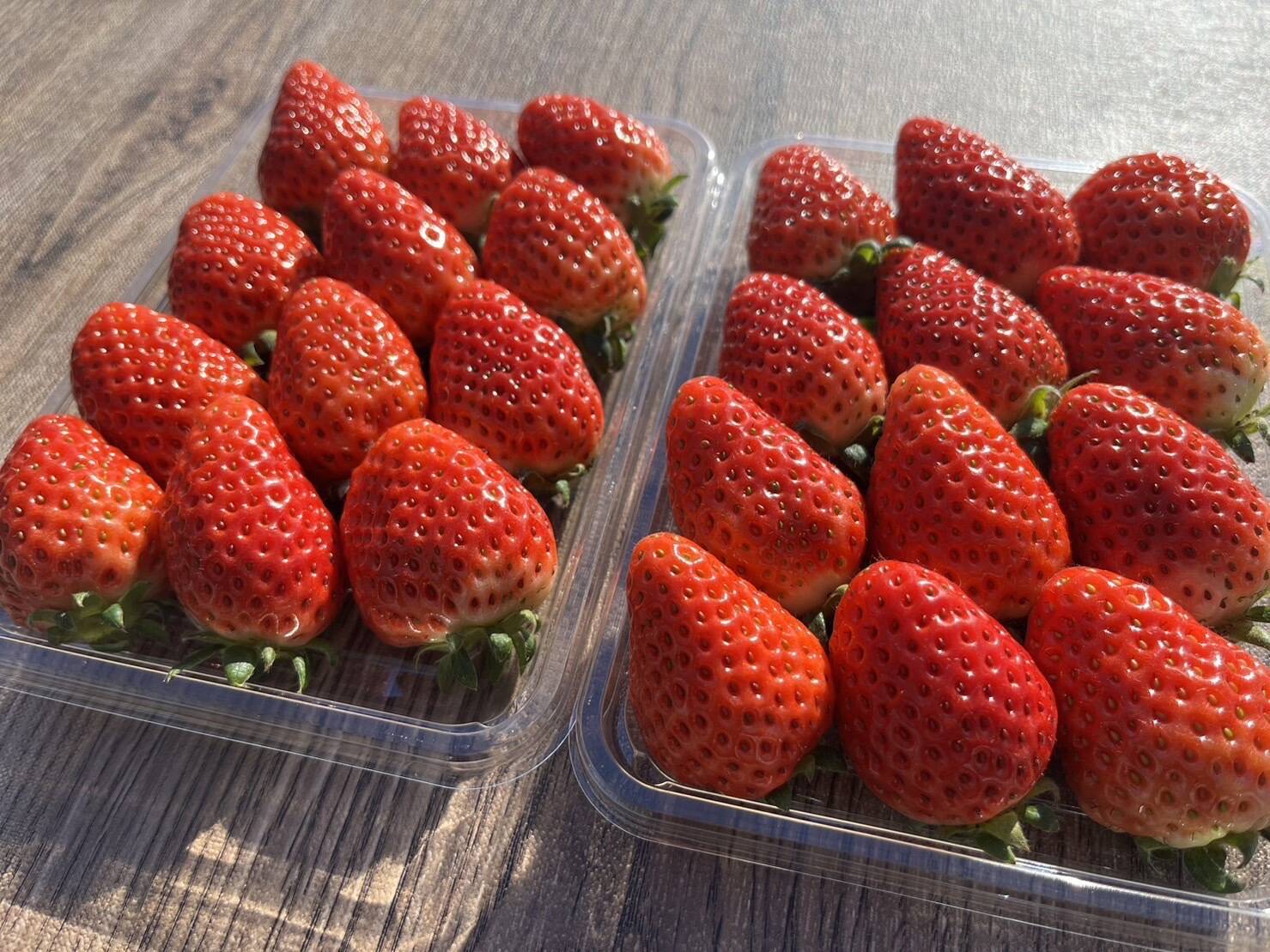 直売所でも大人気！「よつぼし」800g (平パック 200g×4p）青森県産