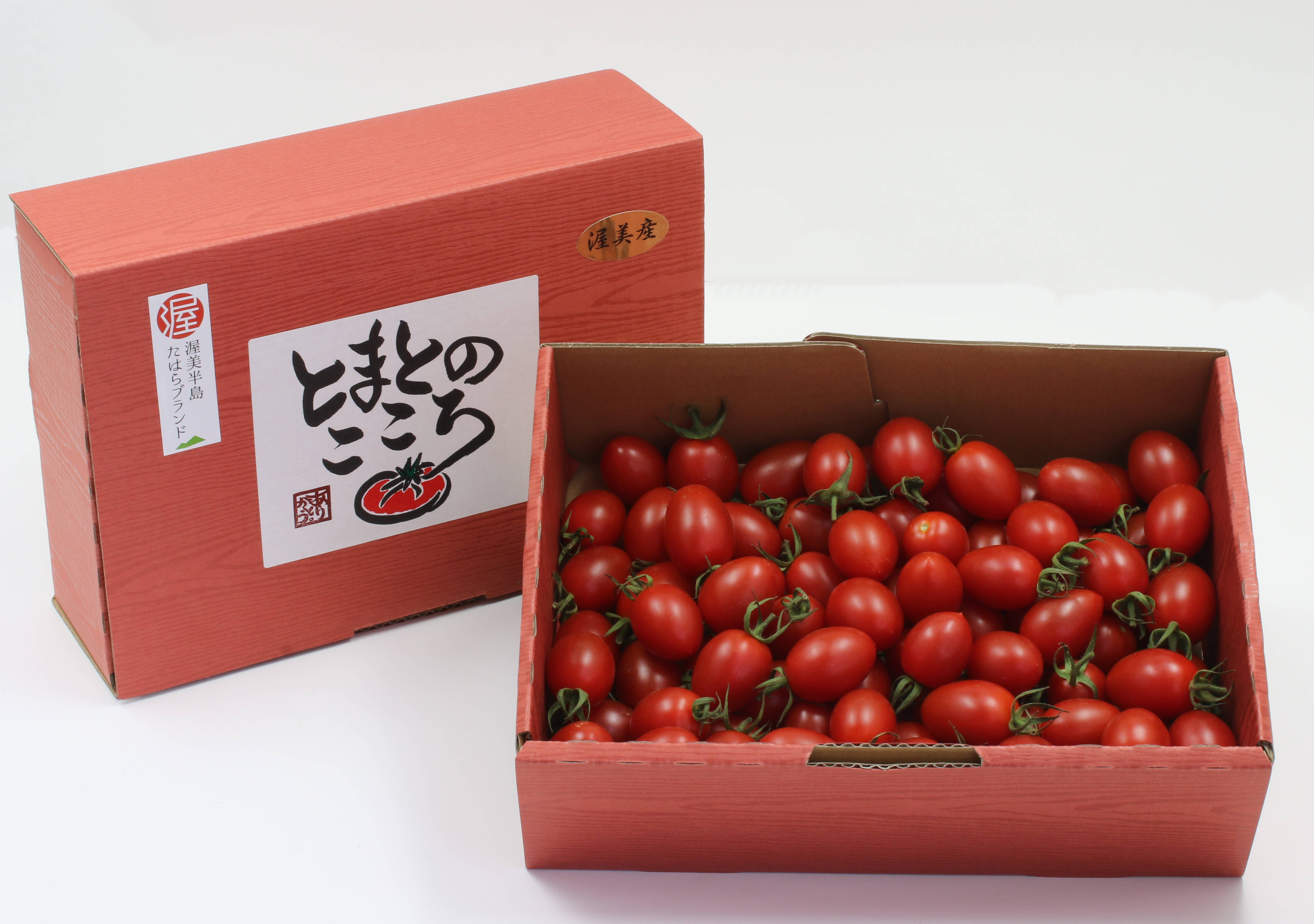 とまと様　ご依頼品 やみつきになるミニトマト－とまとのこころ（1㎏）：愛知県産のアイコ