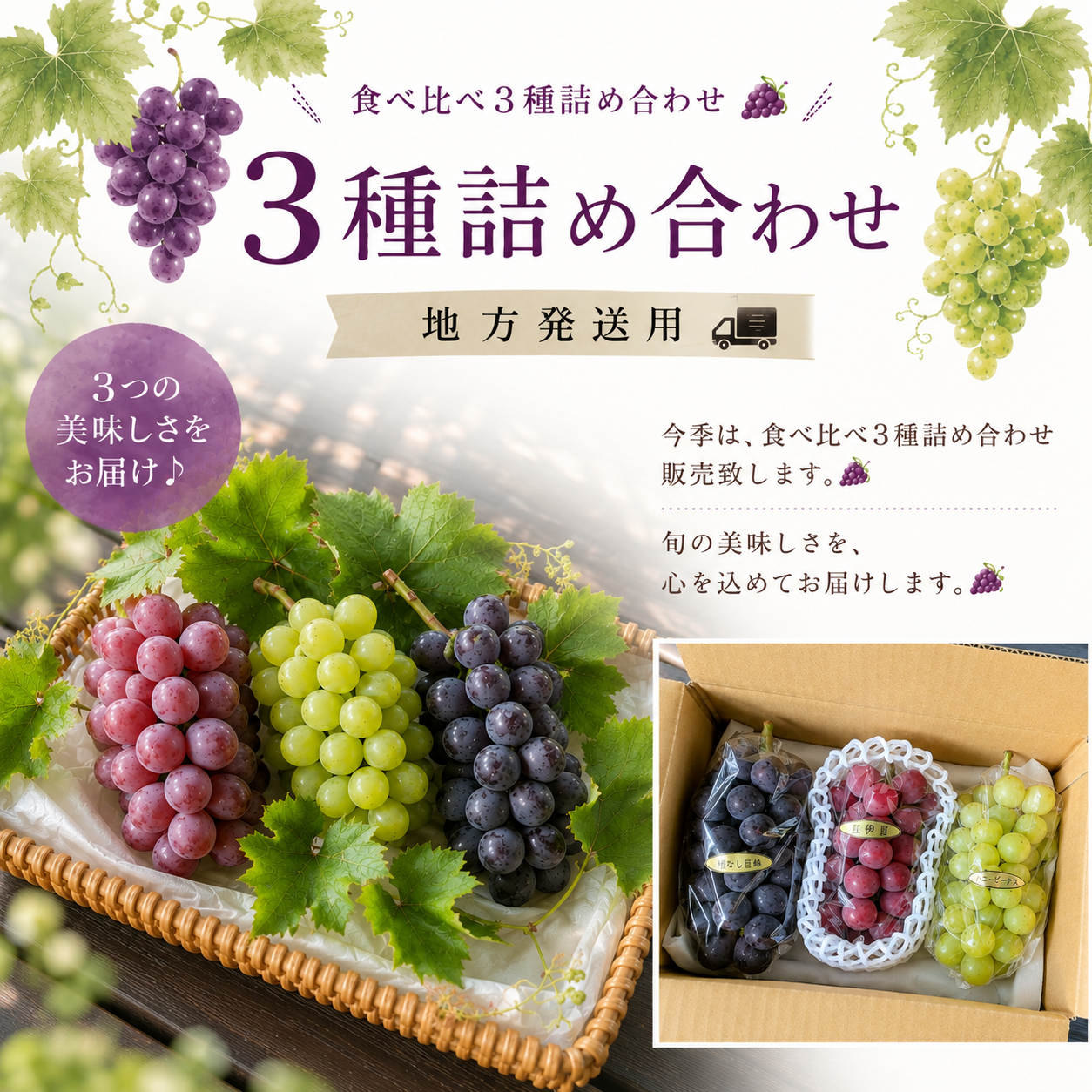 🍃🍇旬のぶどう3種詰合せ🍇🍃 🟣3種類/各1房入 🟢約1.7㎏位詰合せ
