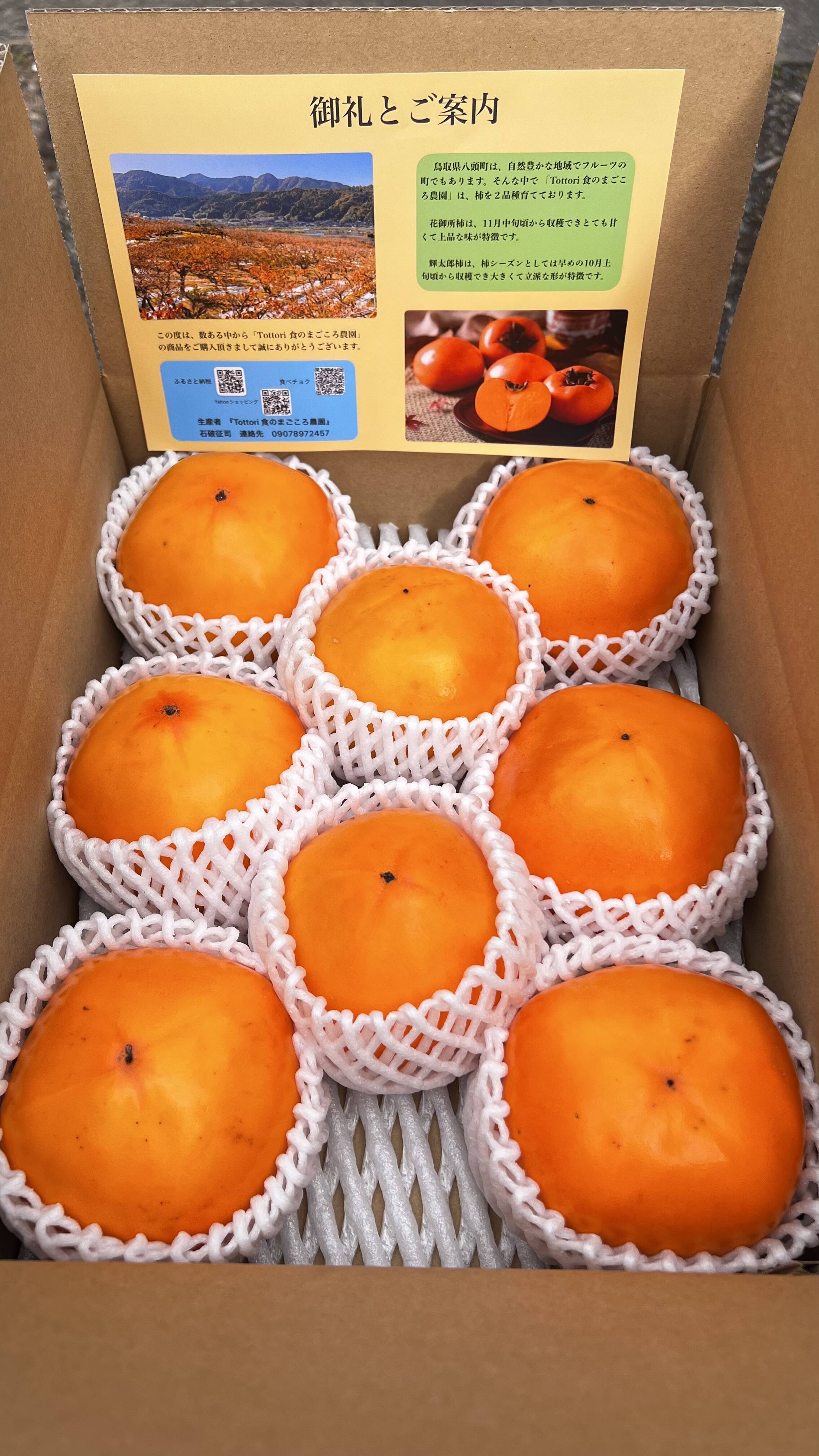 2025収穫分】鳥取県八頭町産 日本一甘い柿『花御所柿』2kg：鳥取県産の