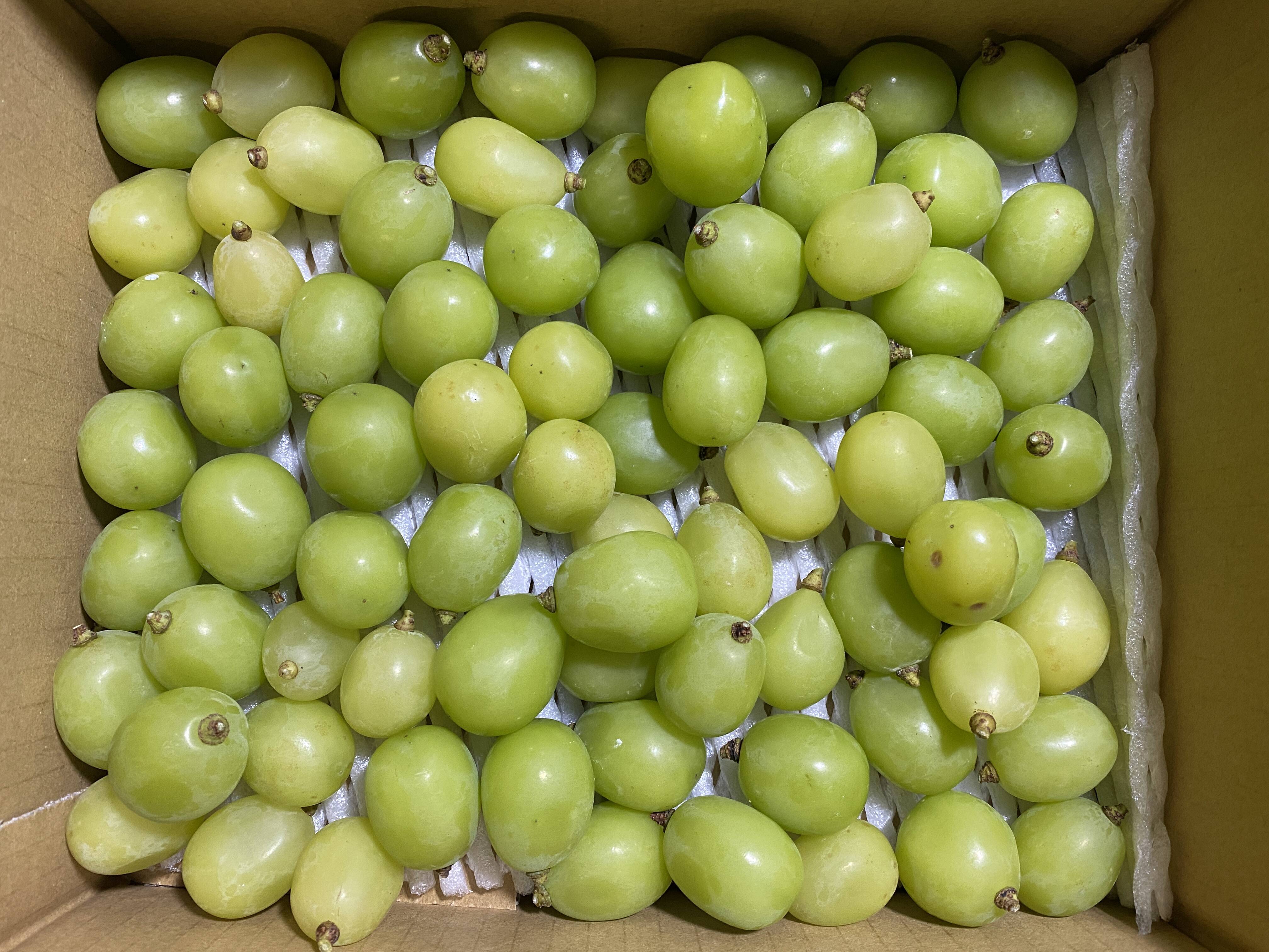 粒売り】シャインマスカット2kg☆長野県産：長野県産のシャイン