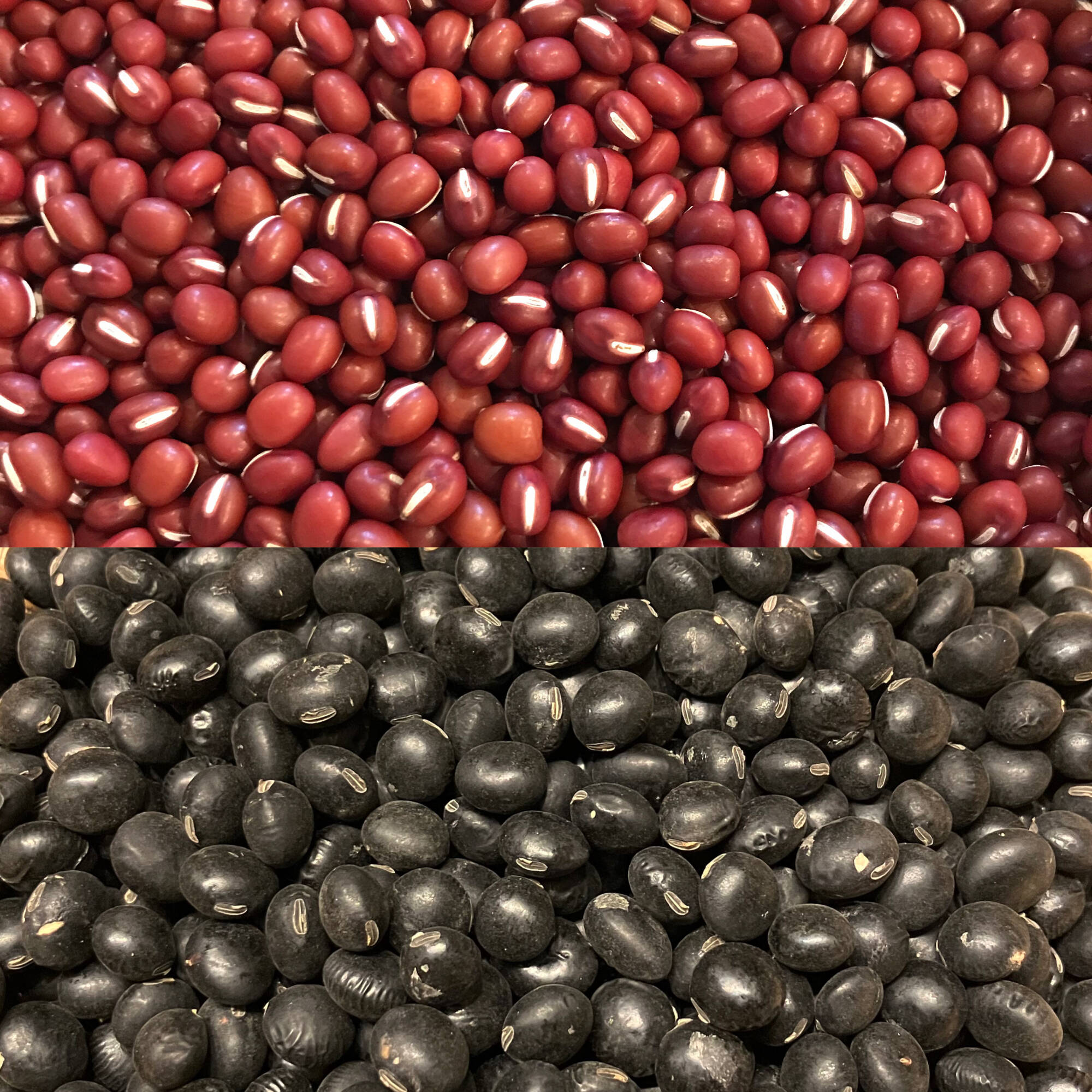 小豆400g＋黒豆400g＝計800g☆北海道産☆農薬化学肥料・除草剤不使用