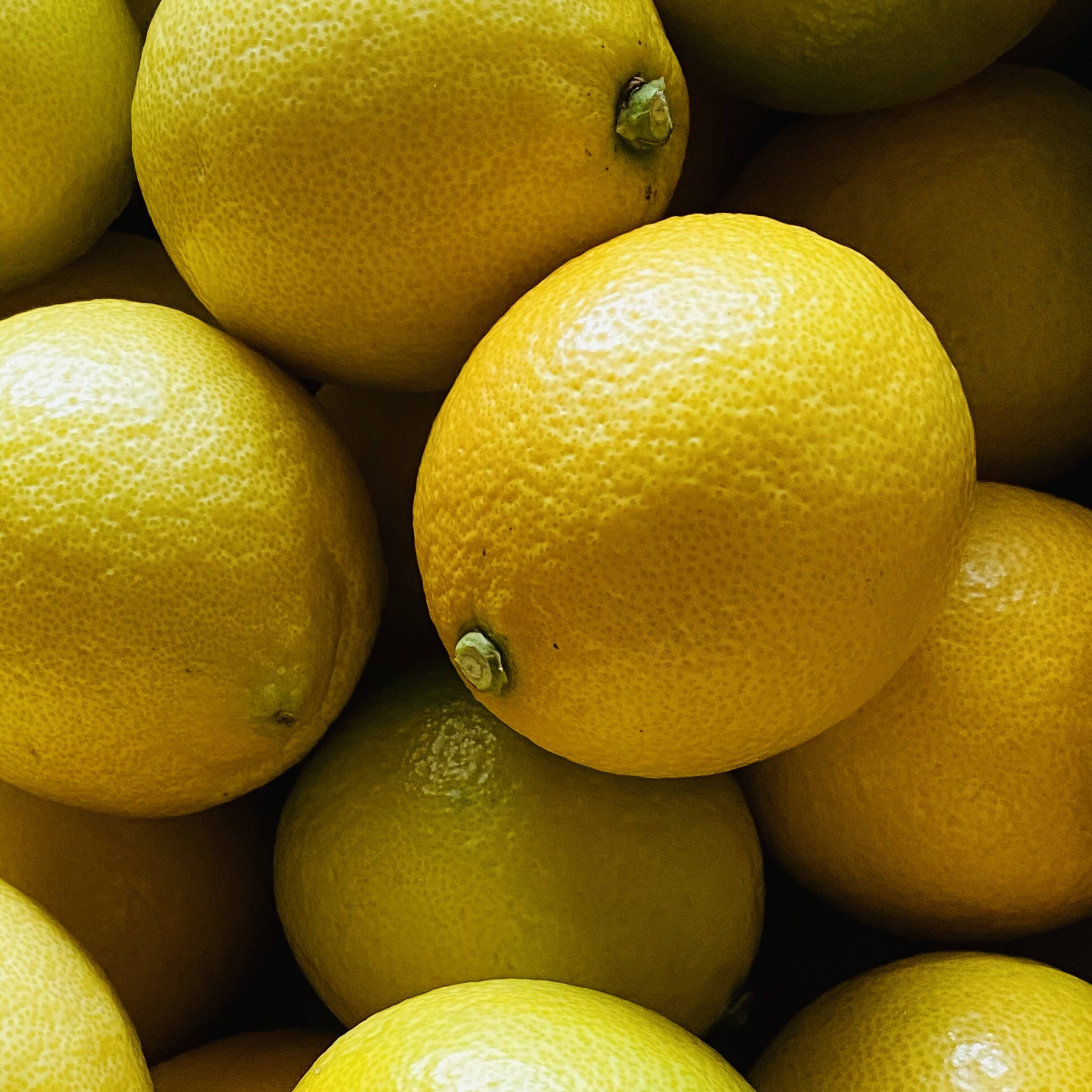 新鮮☆島の恵みレモン! 5キロ【皮ごと食べられるワックス・防腐剤フリー☆】果汁たっぷり瀬戸内レモン:愛媛県産のみかん・柑橘類|食べチョク|産地