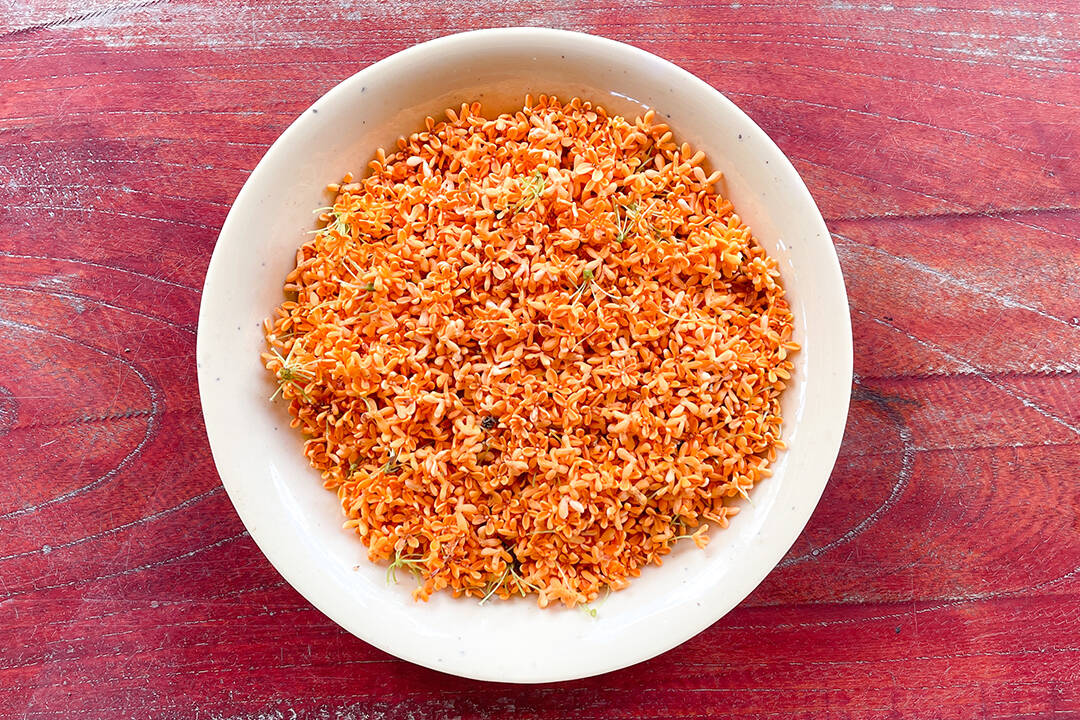 超細密極厚盛花鳥金彩青粒大壺、美品、源隆在銘、値下げしました 超細密極厚盛花鳥金彩青粒大壺、美品、源隆在