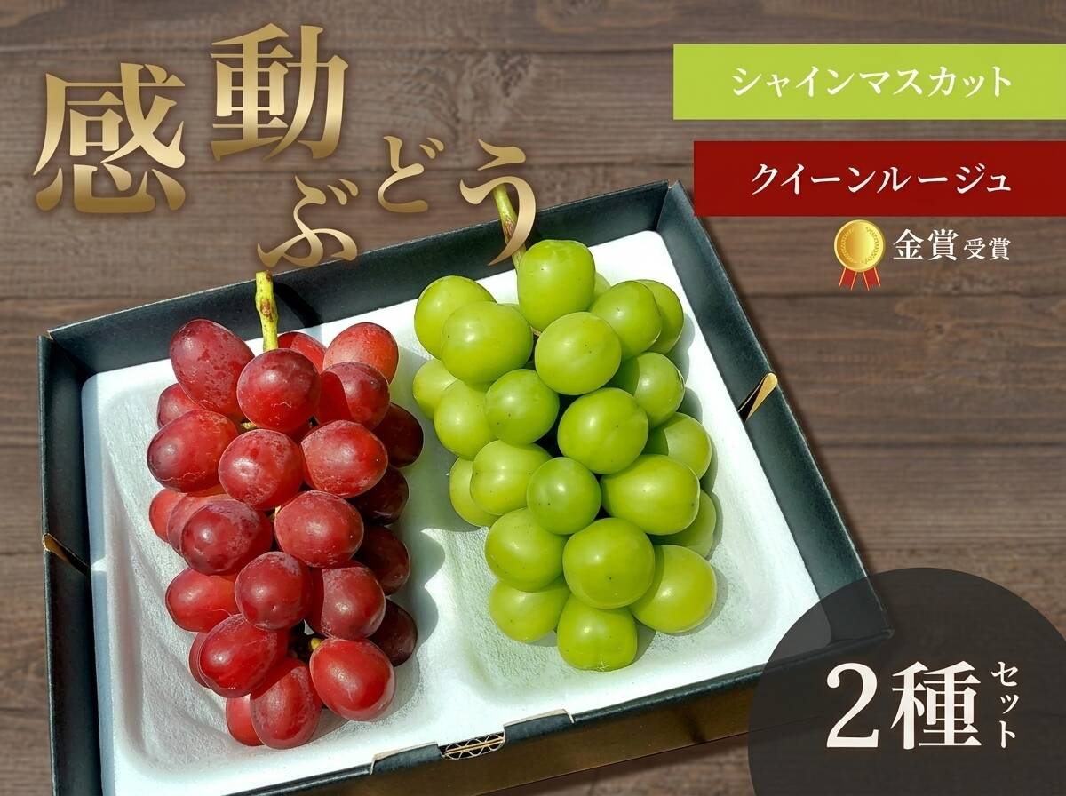数量限定】2025年金賞受賞のクイーンルージュ®と甘さと香り際立つ