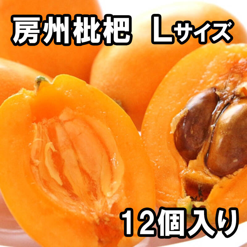 房州びわ　食べ比べ&Lサイズ 房州枇杷（ビワ） 2Lサイズ12粒入』完熟枇杷を農家から直送