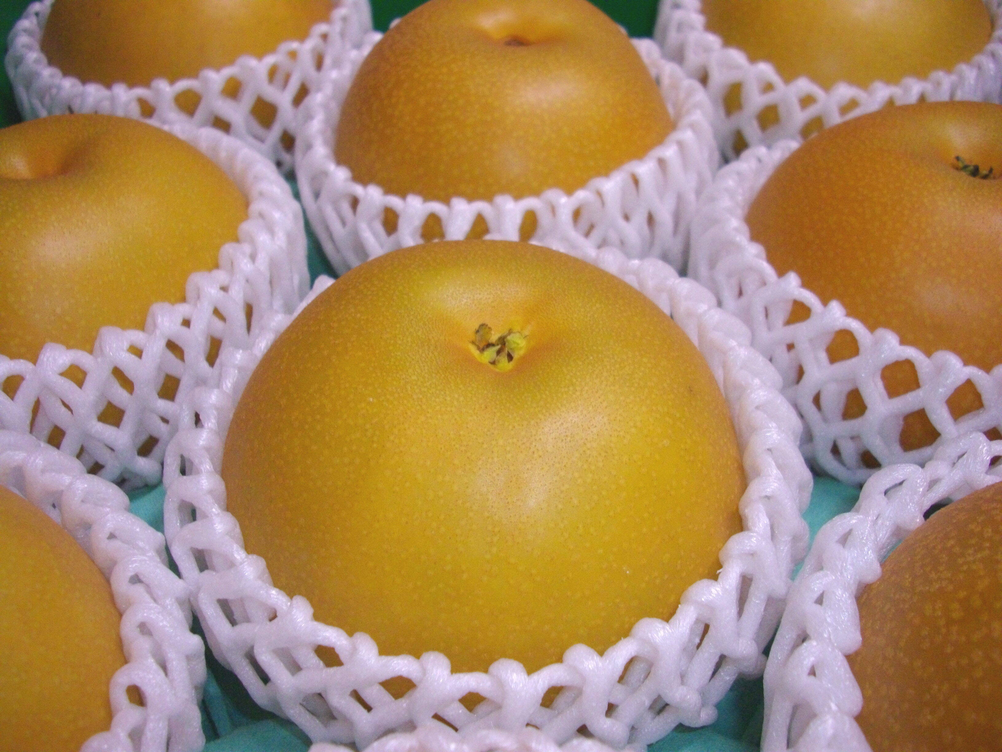 新高 梨 7-8個 愛媛県産 新高梨 ナシ なし：愛媛県産の新高梨｜食べ