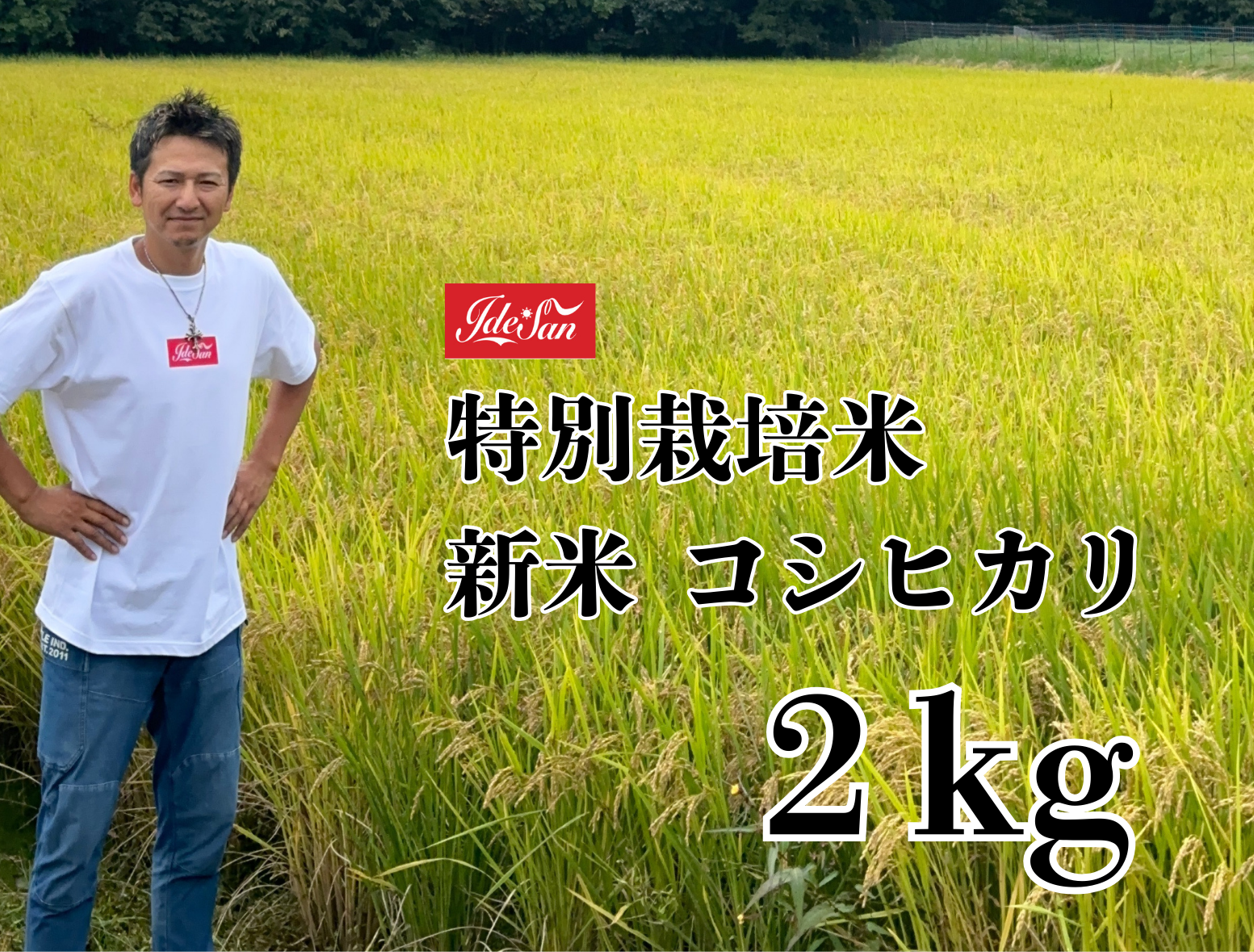 スラリーン①【新米】令和2年度産・特A評価！農家直送さがびより・20キロ スラリーン①【新米】令和2年度産・特A評価！農家直送さがびより・