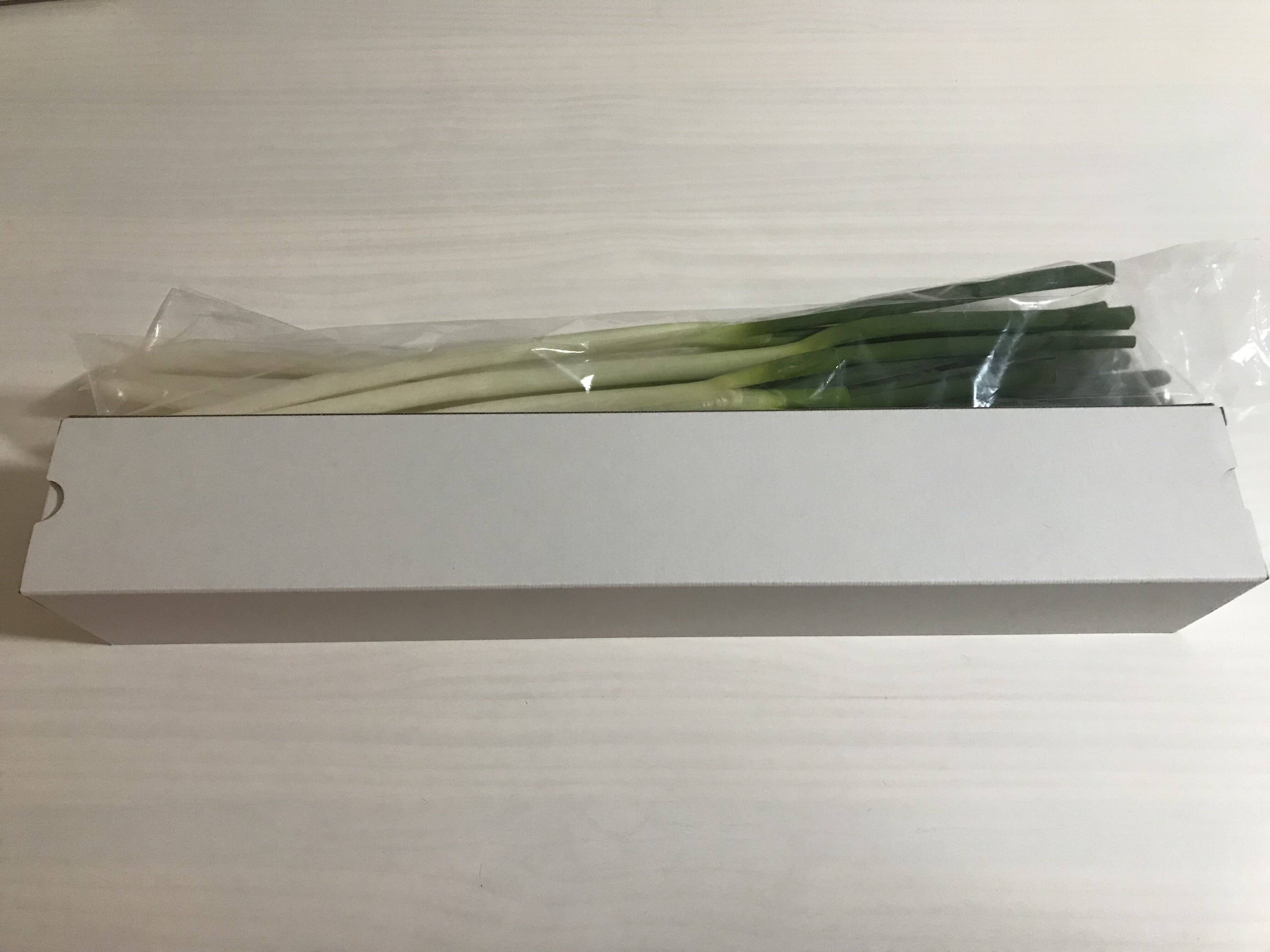 群馬県産長ネギ10本！取れたて！甘くて美味しい！：群馬県産のねぎ
