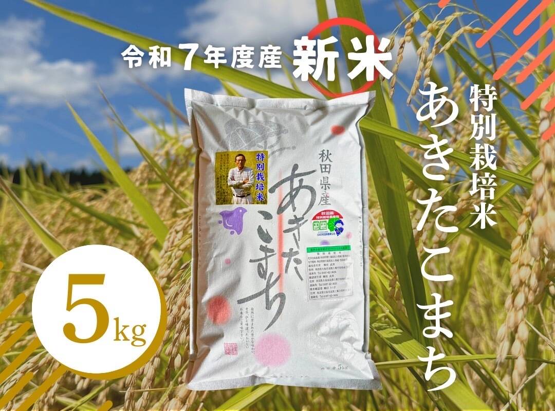 特別栽培こまち 令和7年度産 秋田 令和7年産新米】特別栽培米「大曲仙北産あきたこまち」5㎏：秋田