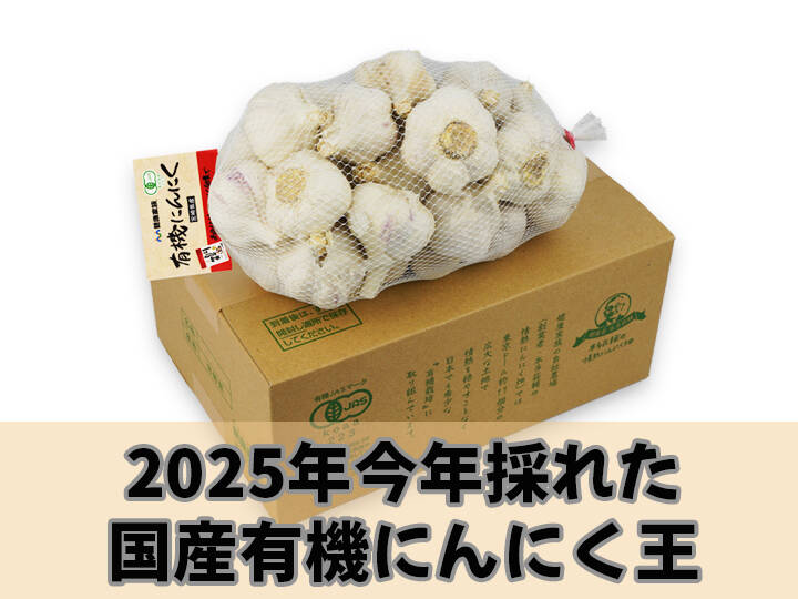 宮崎県産 有機にんにく】 2025年（令和7年度）今年採れた有機にんにく