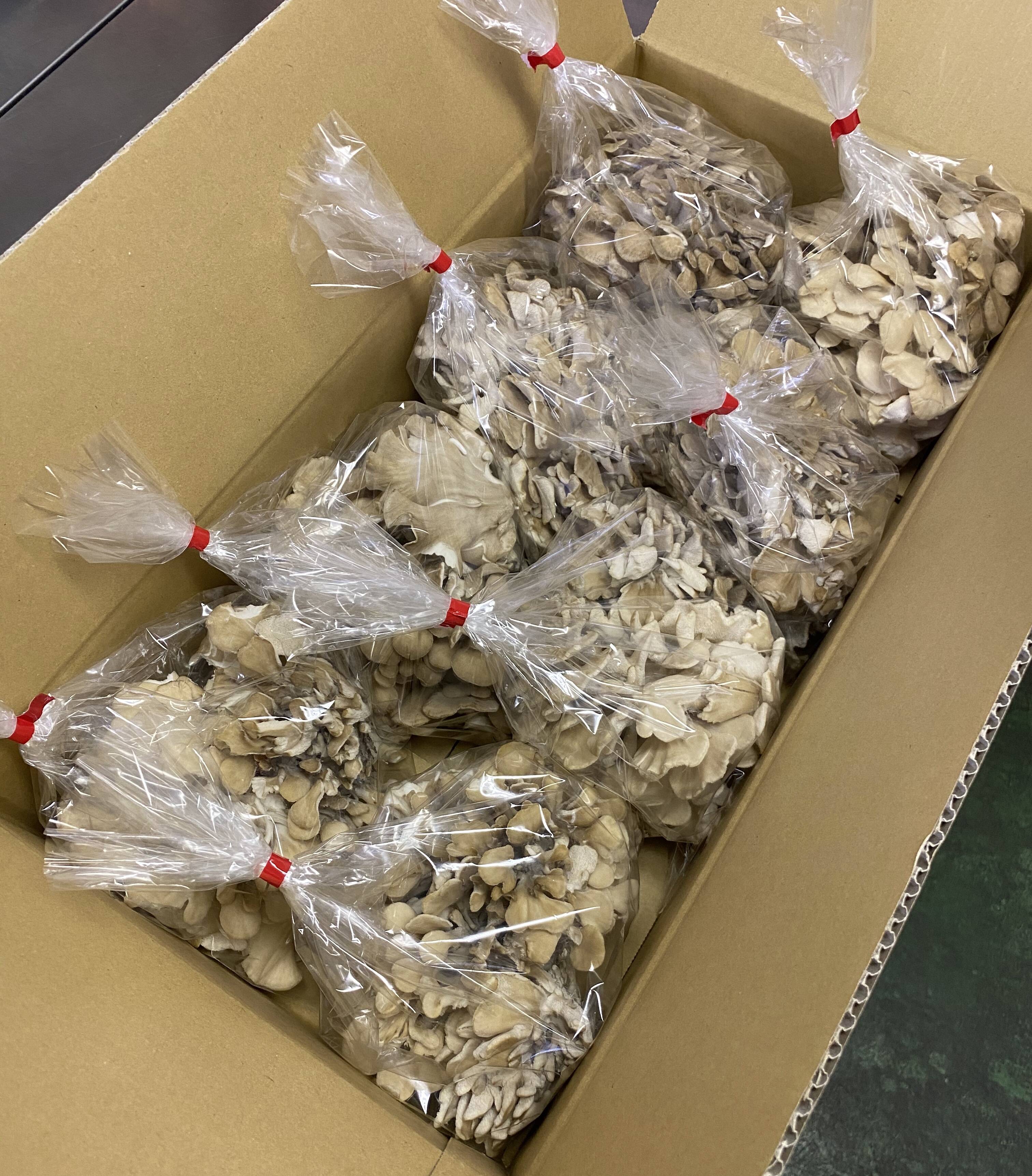 ☆業務用☆【北海道産】肉厚で旨味がちがう！希少！「えぞ