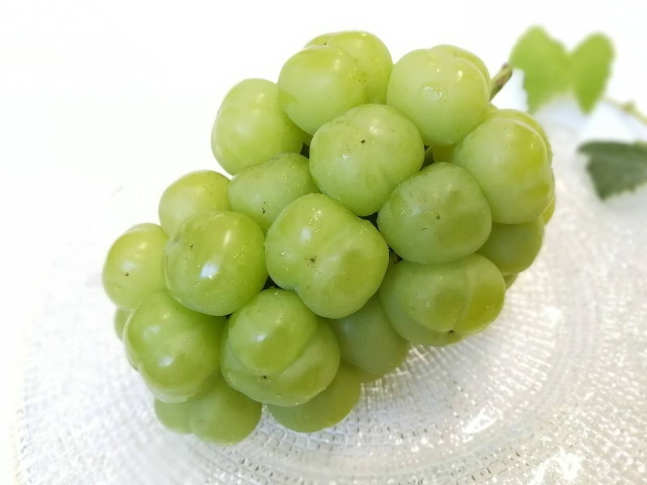 5f85ba3b3b049db49d1c0dce66b0fa
