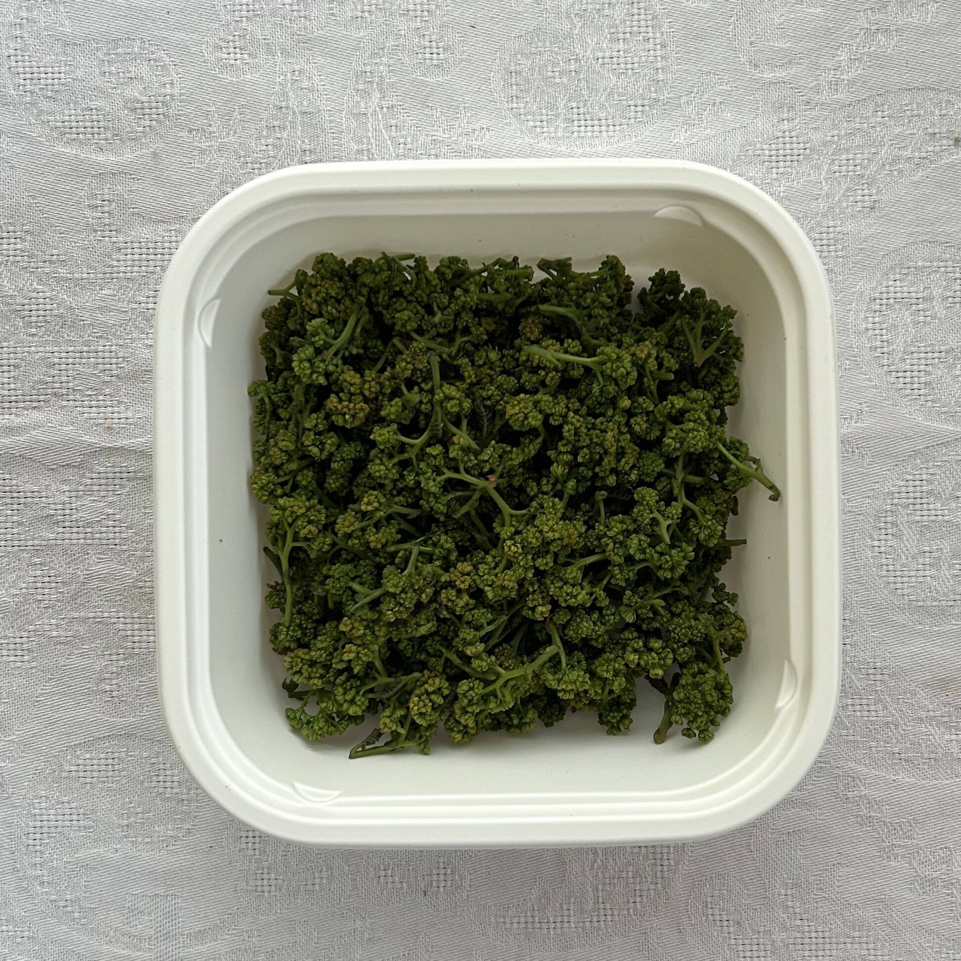 限定1点のみ‼️気品ある香り！花山椒25g （かやぶきの里・ 京都・美山