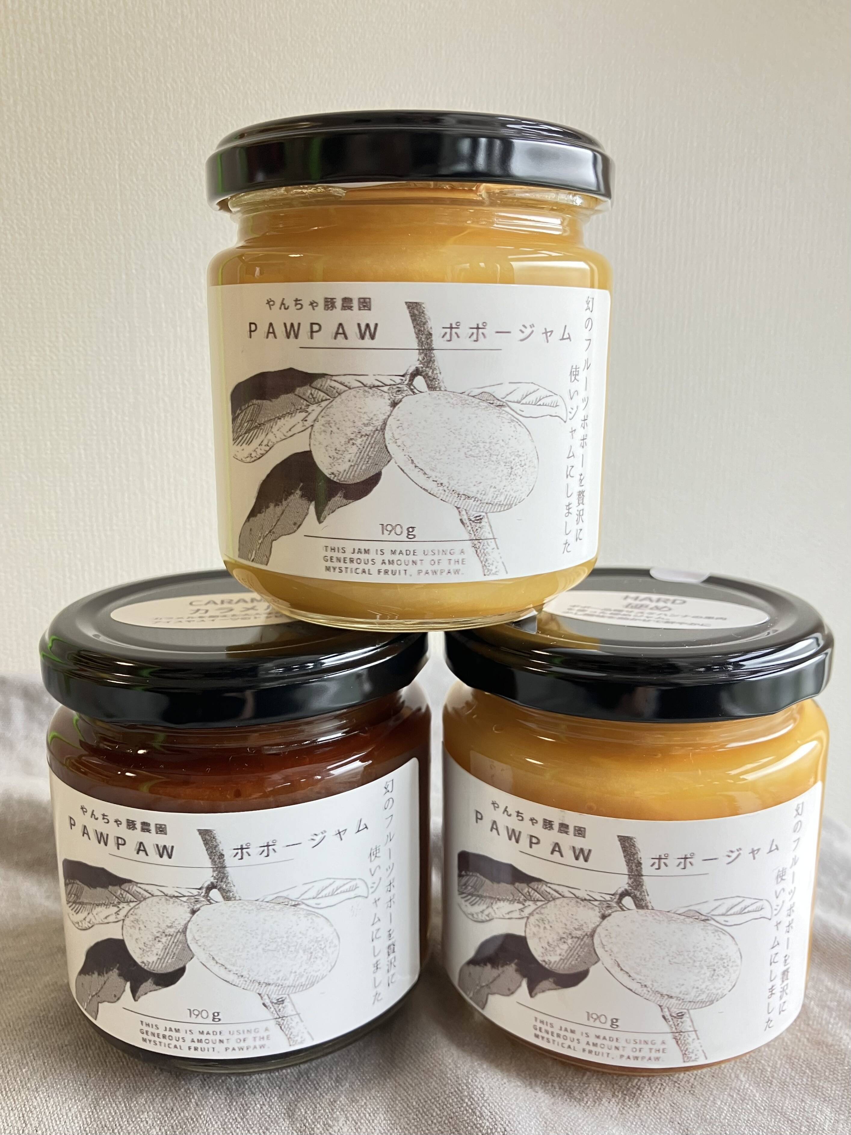 幻のフルーツポポーを贅沢に使用しジャムにしました 3個入り