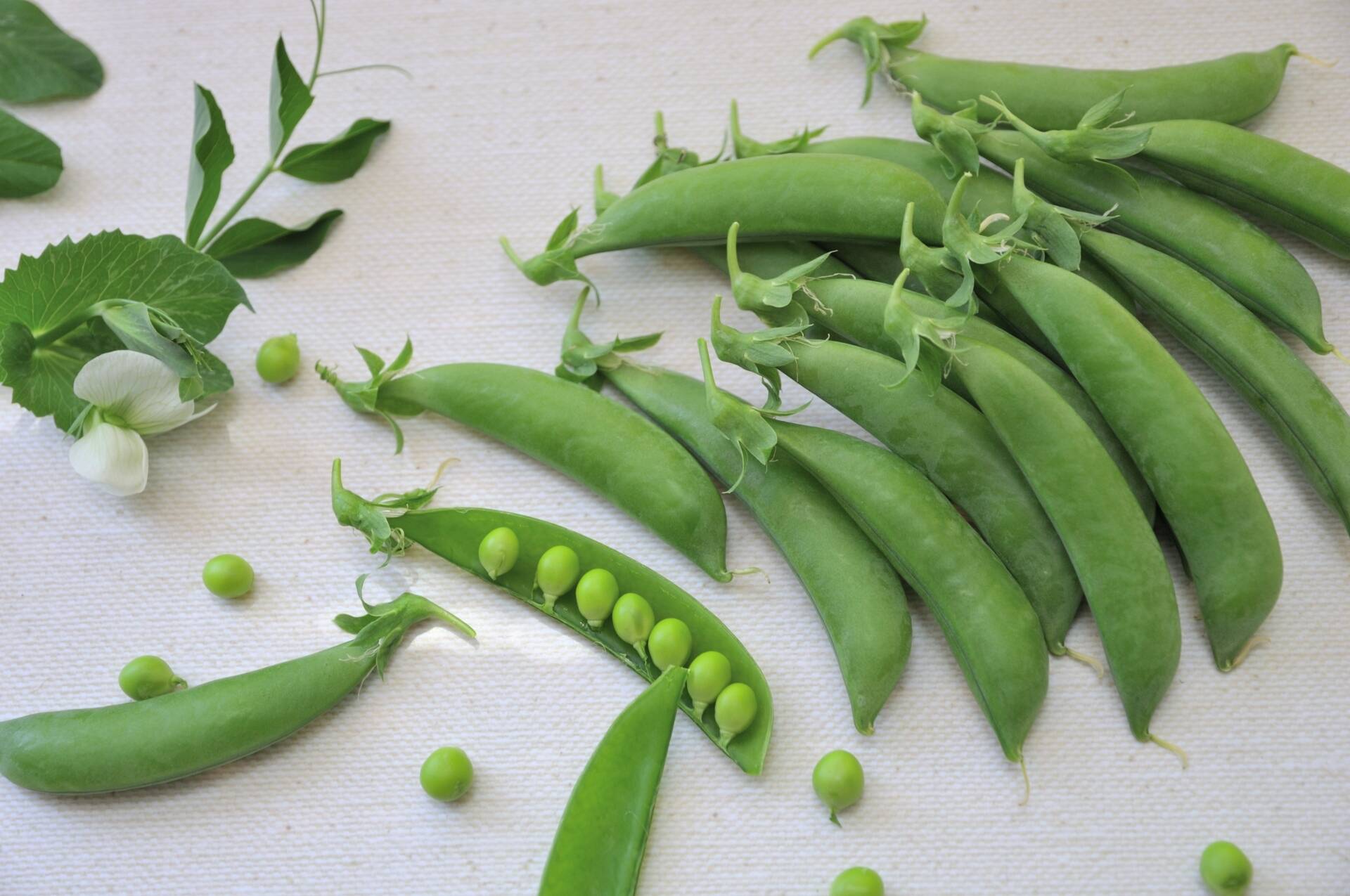 新鮮 畑のおやつスナックえんどう朝獲り当日配送 1 鹿児島県産のじゃがいも 食べチョク 産地直送 産直 お取り寄せ通販 農家 漁師から旬の食材を直送