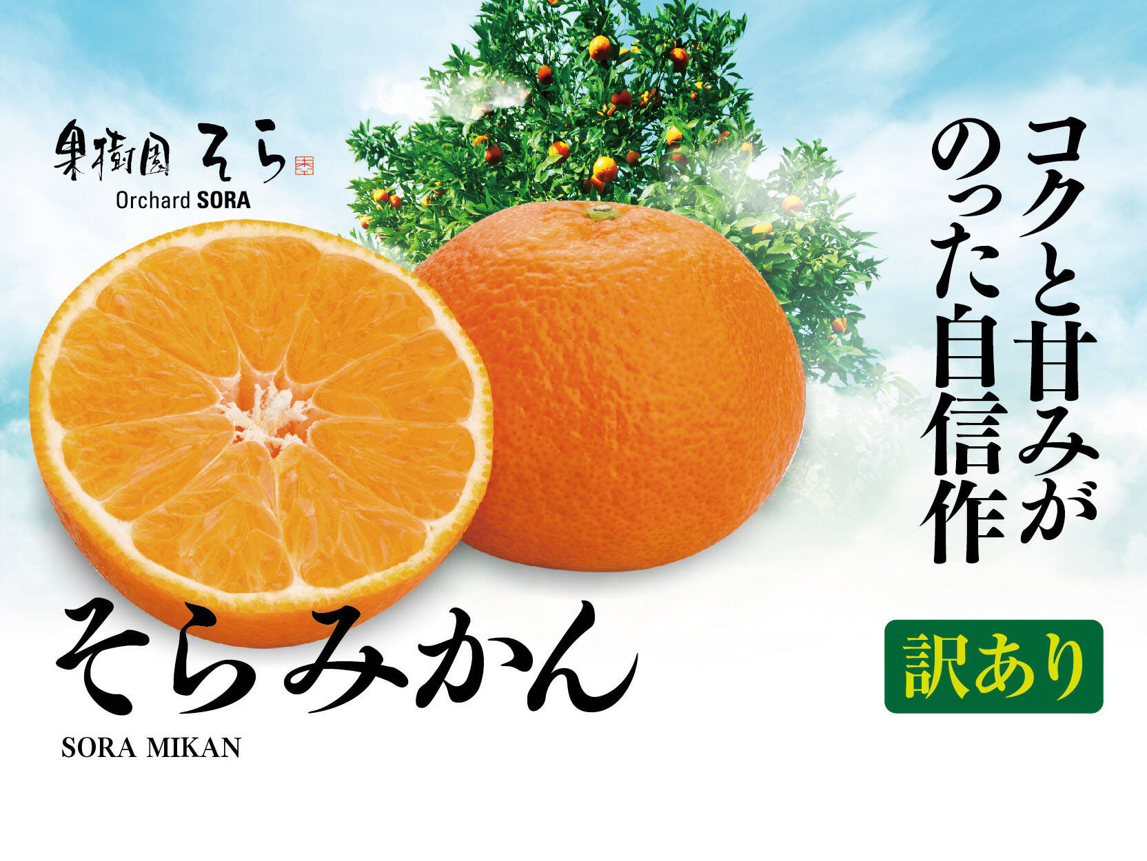 訳あり】そらみかん 天空の果樹園 愛媛産みかん 10kg：愛媛県産の