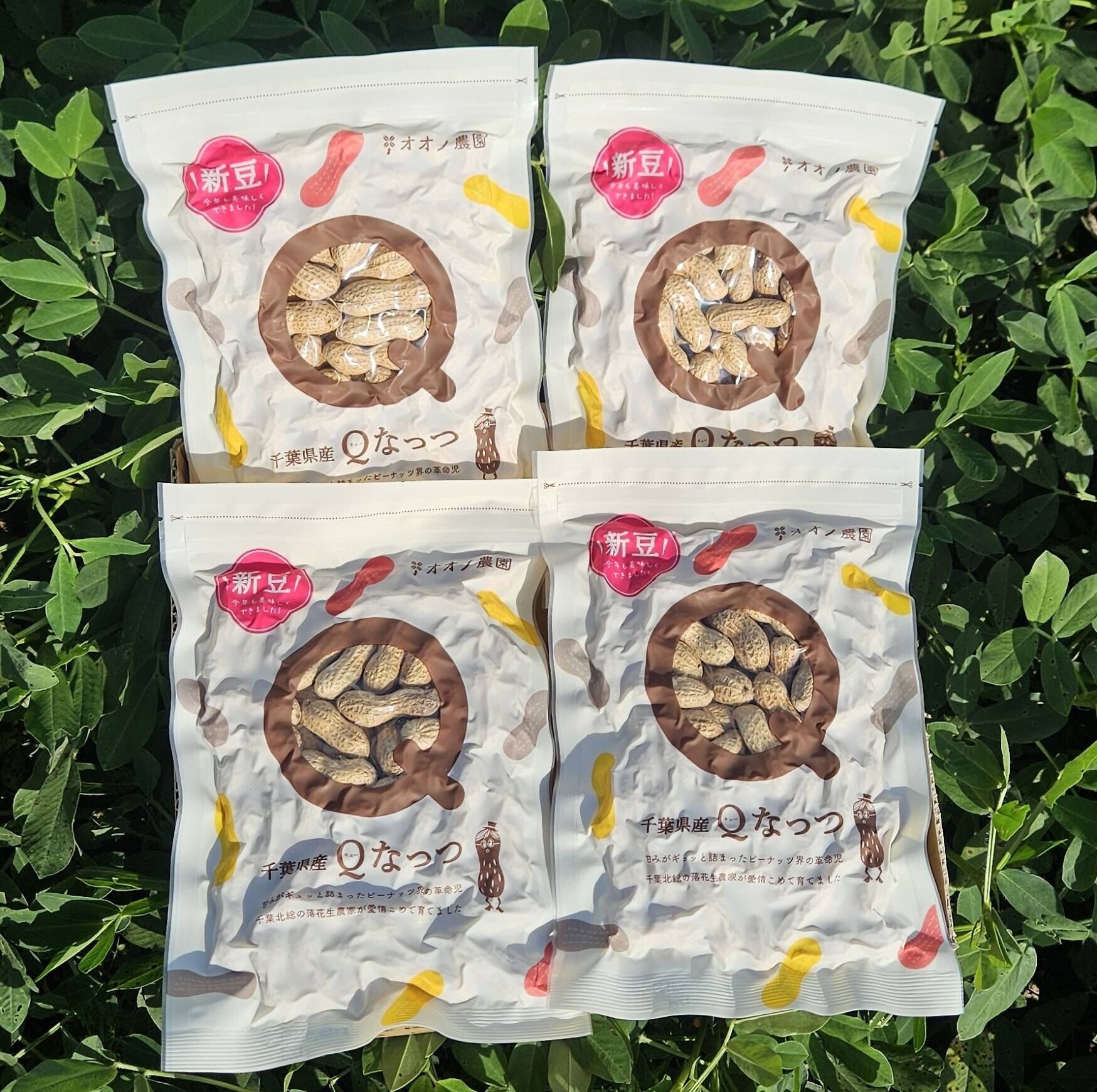 千葉県産落花生5kg 千葉県産落花生 5種詰め合わせ(落花生2種類(千葉半立