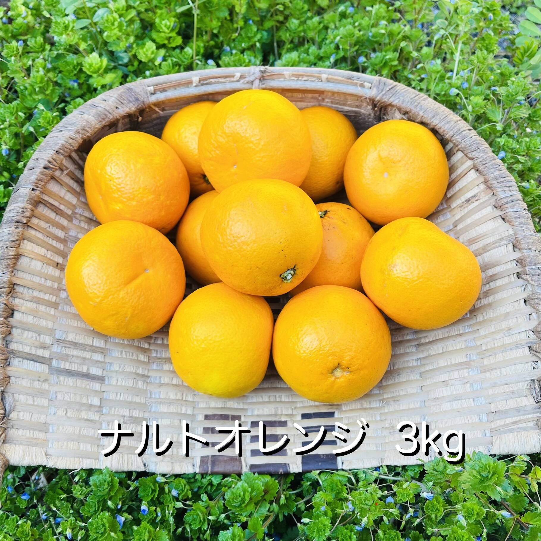 自然栽培]ナルトオレンジ(3kg)栽培期間中農薬不使用、肥料不使用：兵庫