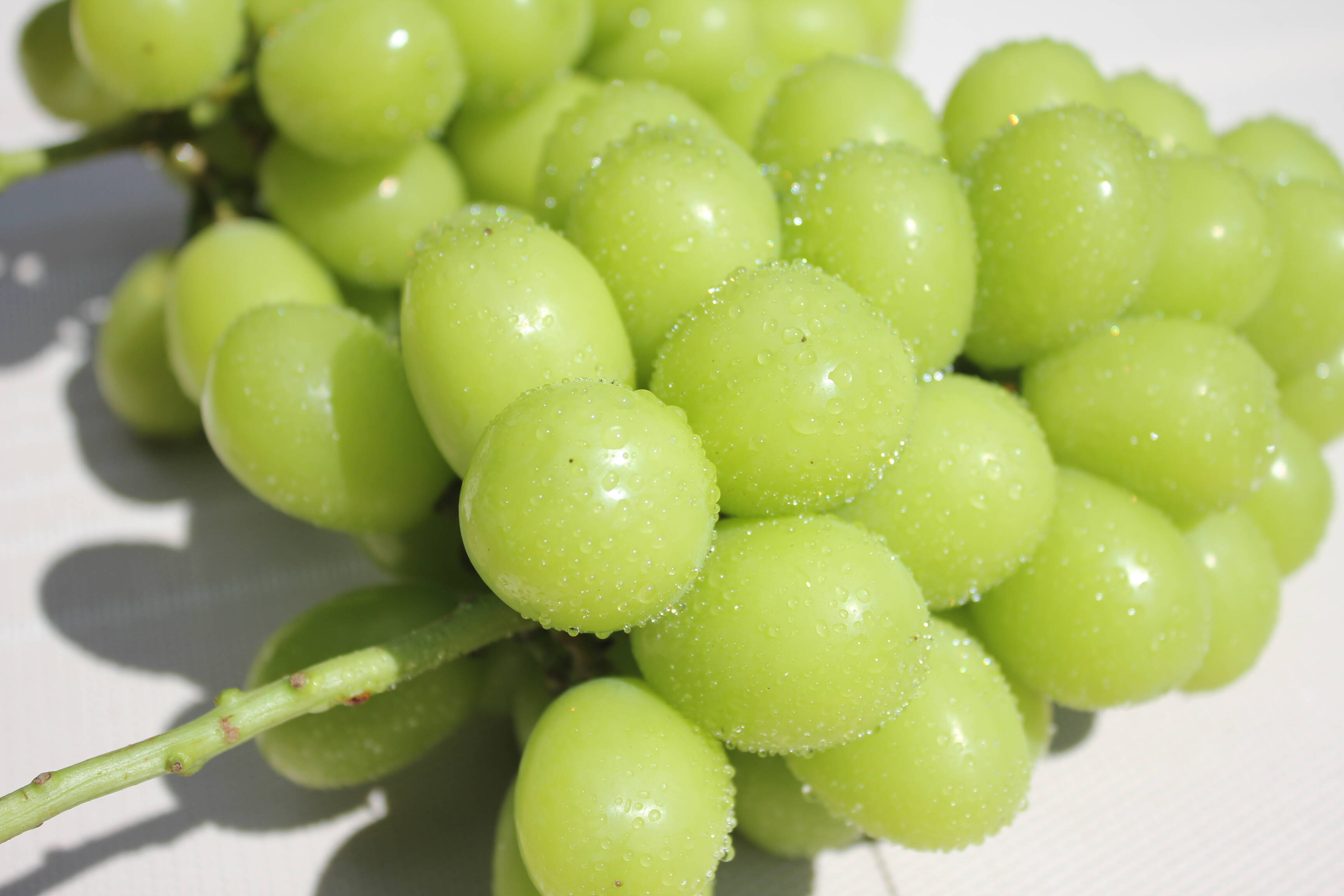 岡山県産シャインマスカット5房〜6房 約3.5kg（大箱）：岡山県産の