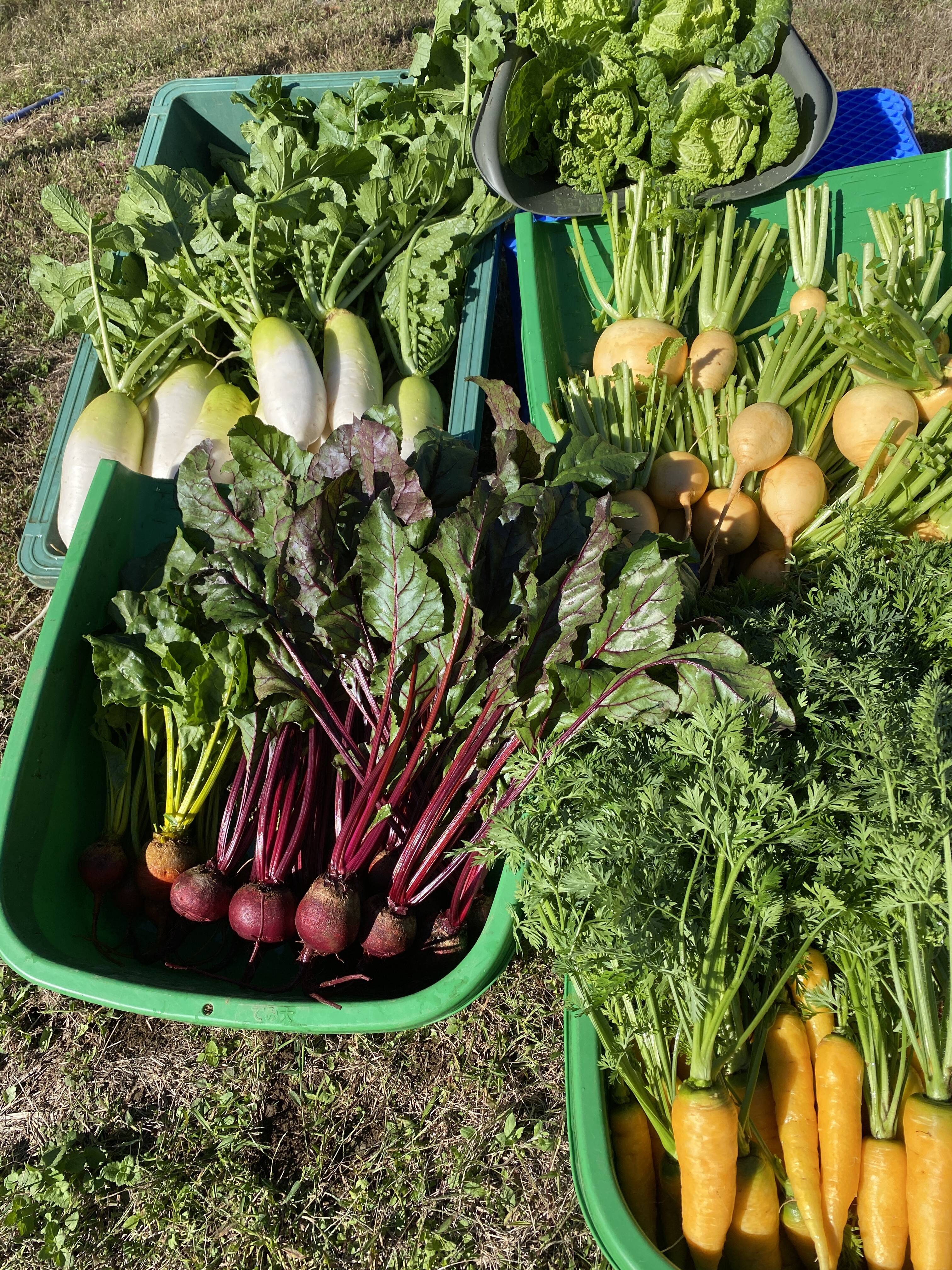 608be788461d2be638c9fd2b9d8555