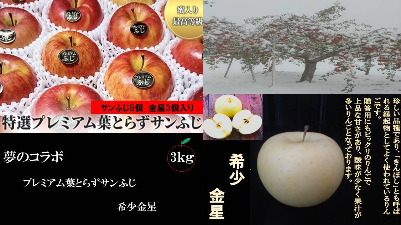 青森県産りんご 葉とらずさんフジ家庭用3キロ
