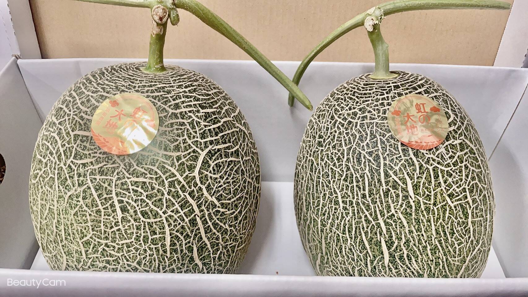 熊本県産‼︎肥後グリーンメロン2玉入り(約2.5kg×2) - 果物