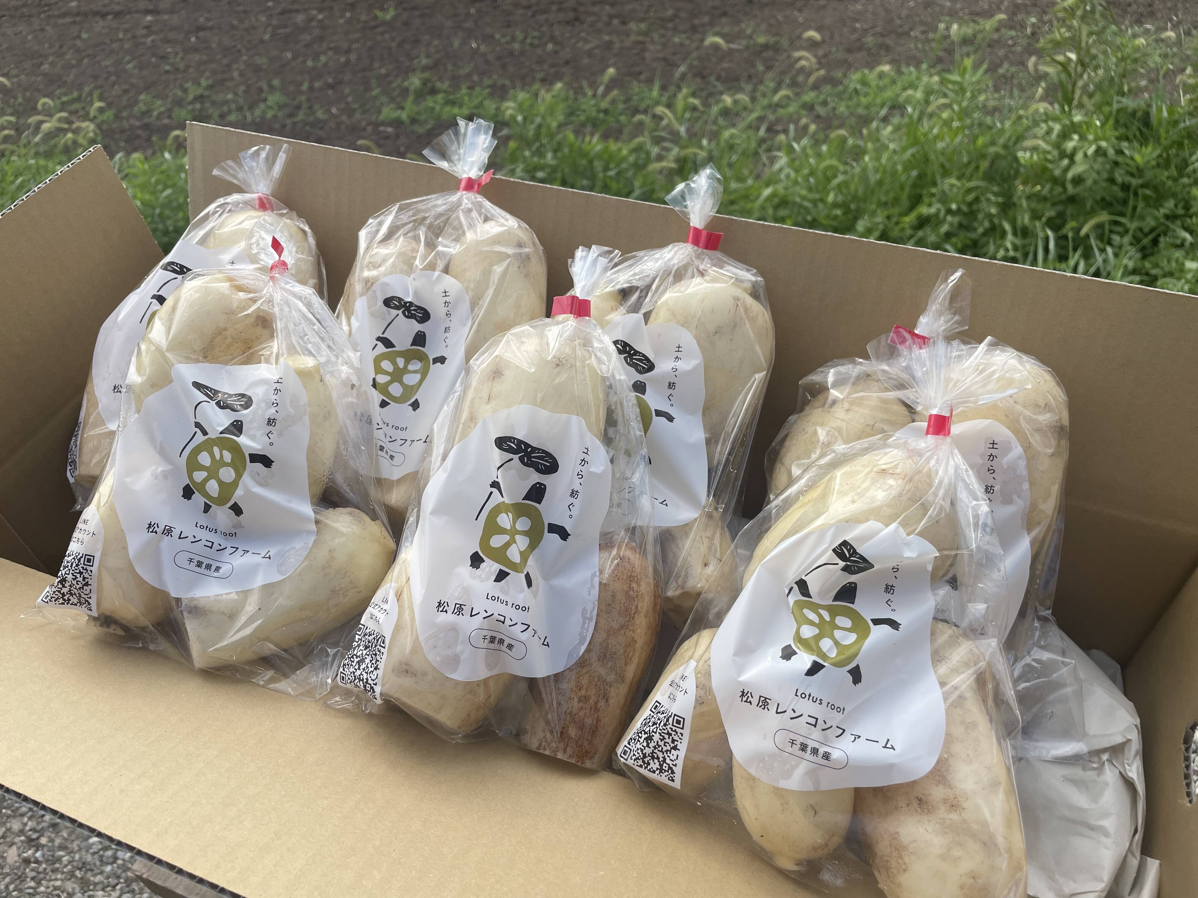 冬ギフト】野菜ソムリエサミット最高金賞受賞🏅甘くてなめらか