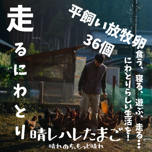 走り回る！平飼い放牧卵・36個】走って、発酵飼料を食べて、谷川天然水