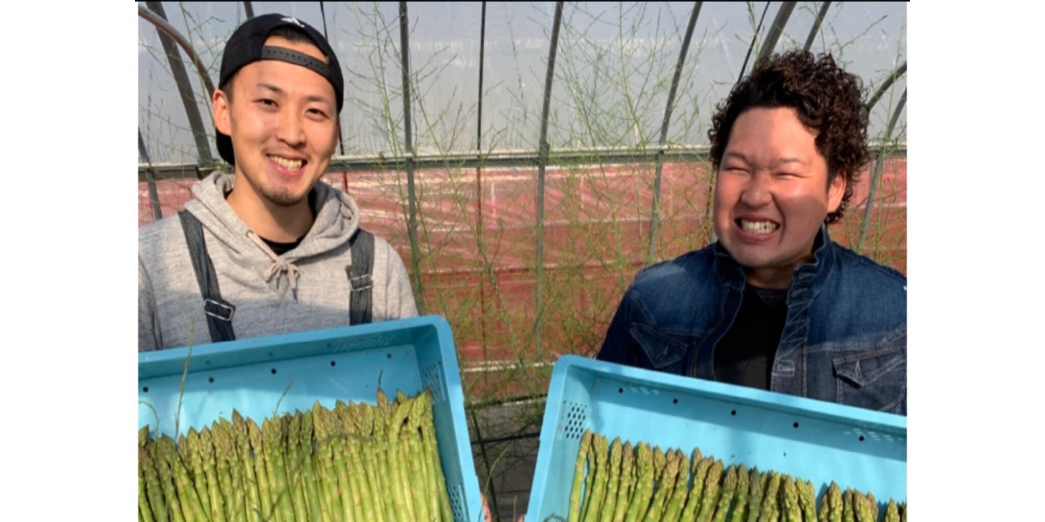 👑感動のアスパラ👑サイズL600g 通販サイト2000件以上販売】👑：山形県