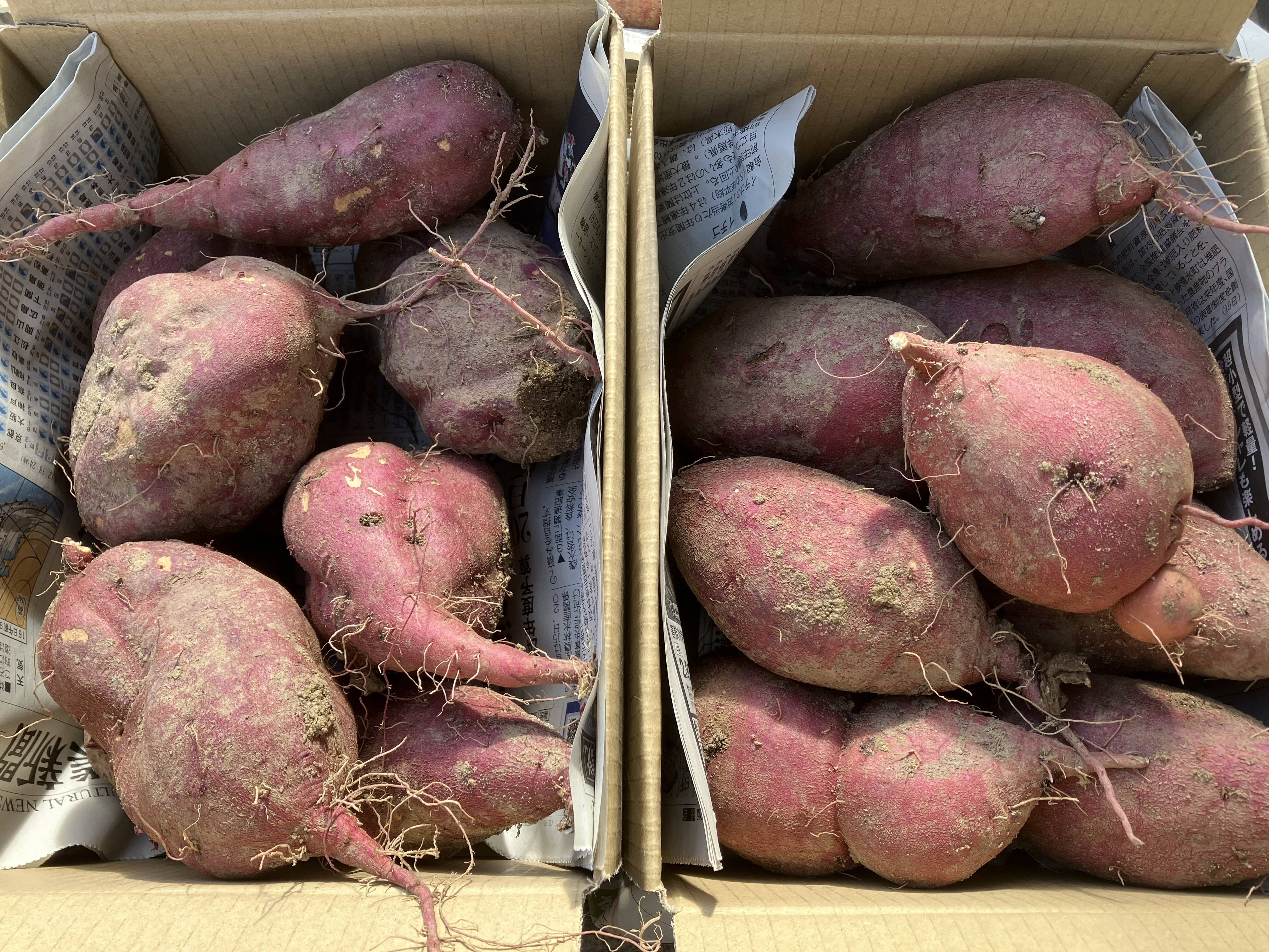 613051316418b84f93627312007d9f