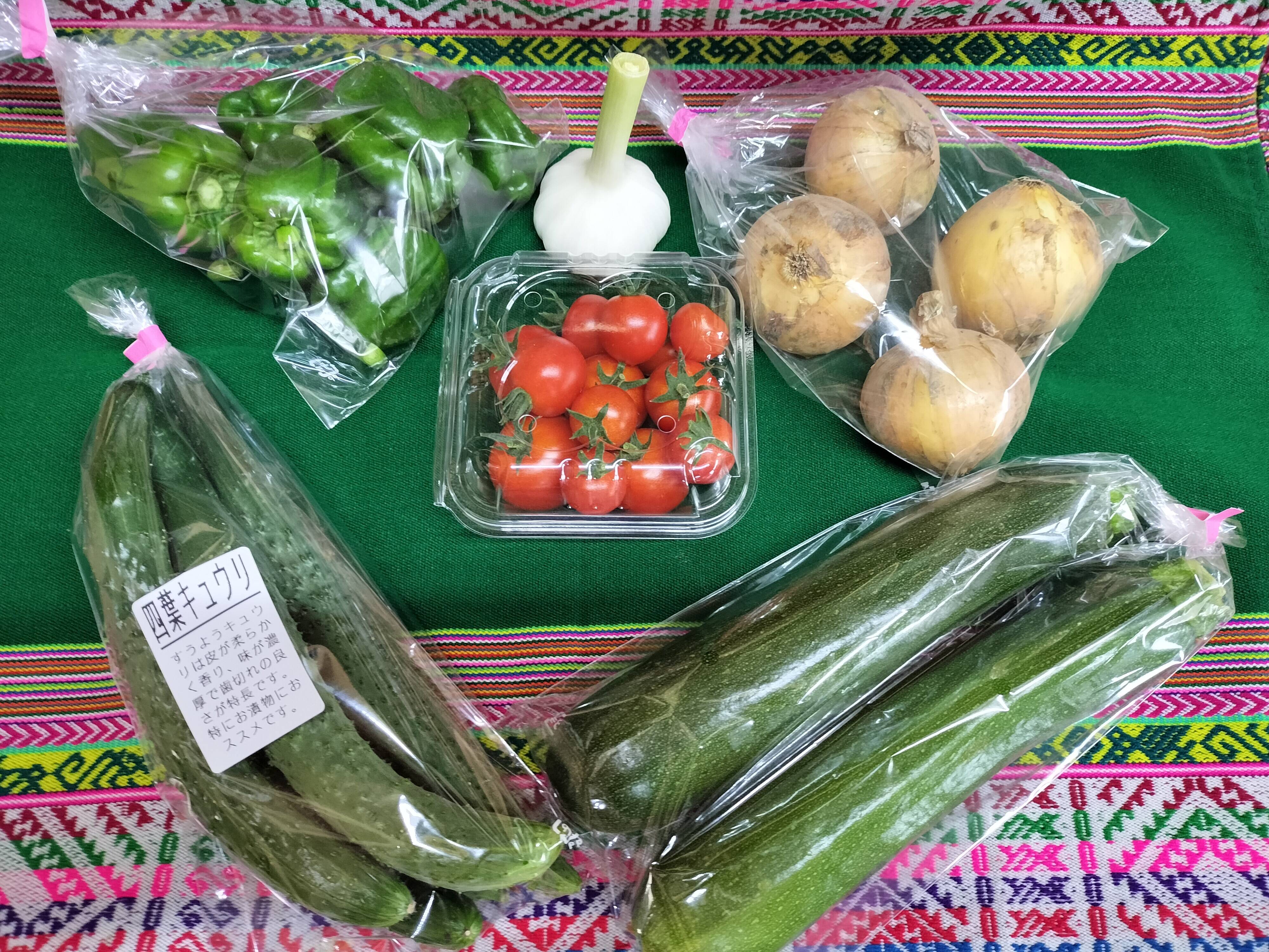 ミニ夏野菜セット☆ひとり暮らしサイズ 60サイズ 数量限定：茨城県産の