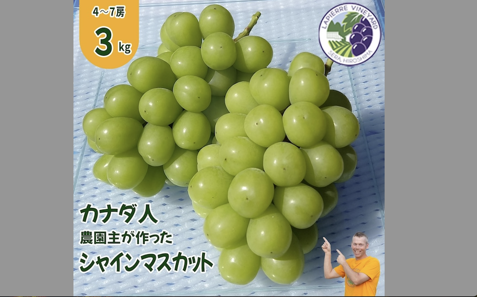 シャインマスカット(粒)約３kg シャインマスカット 大粒4Lサイズ2房（1.3kg）（三越伊勢丹選定