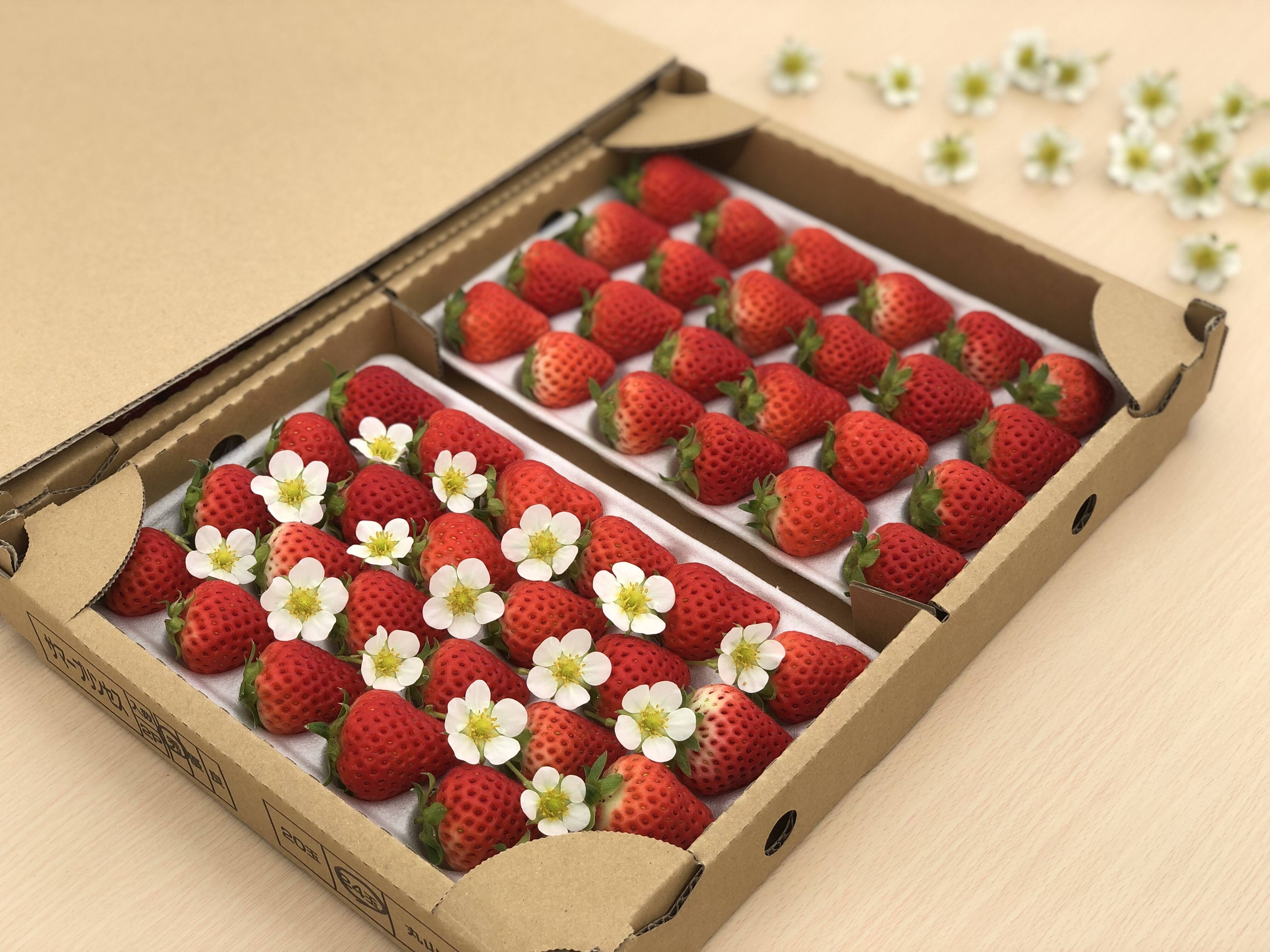 62094f7d3e5357587ec0863468b51c