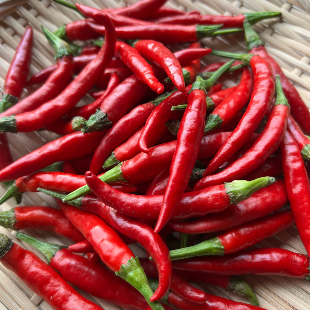 赤唐辛子 ラスト！！】愛知県 豊田市旭産 赤唐辛子 鷹の爪（生） 300g：愛知県産