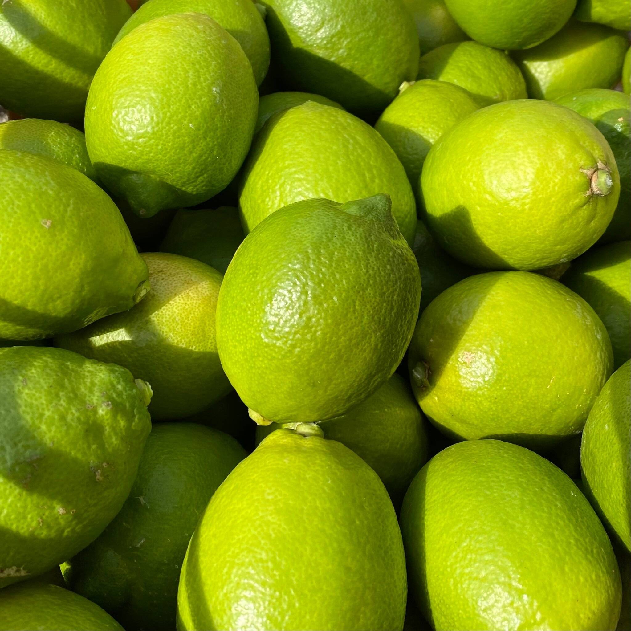 香り抜群！大三島グリーンレモン！ 2キロ【皮ごと食べられるワックス