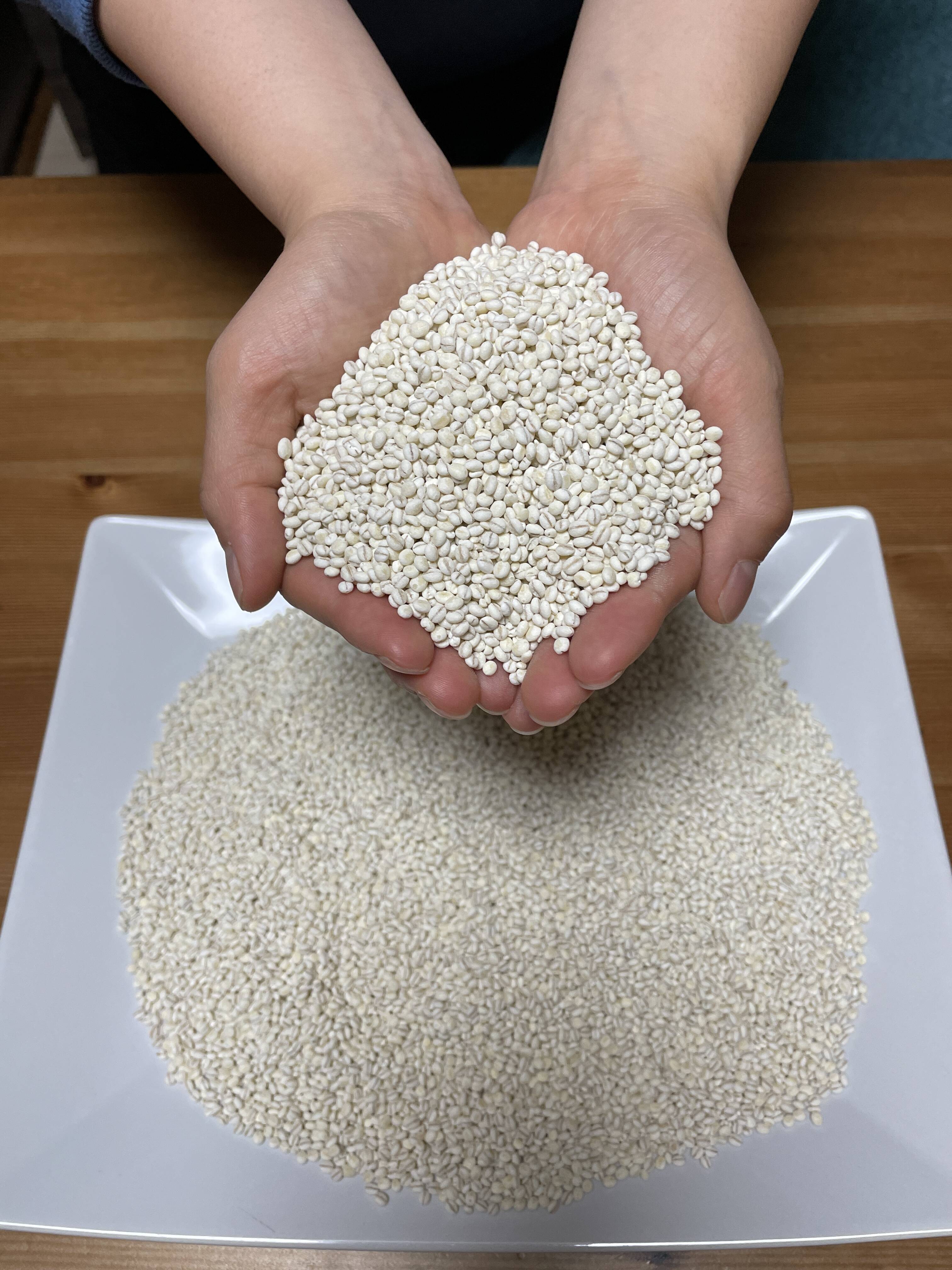 高感度ショップで2023年売れたブランド まるで白米！もち麦キラリモチ！10kg：埼玉県産のもち麦 米・雑穀・粉類