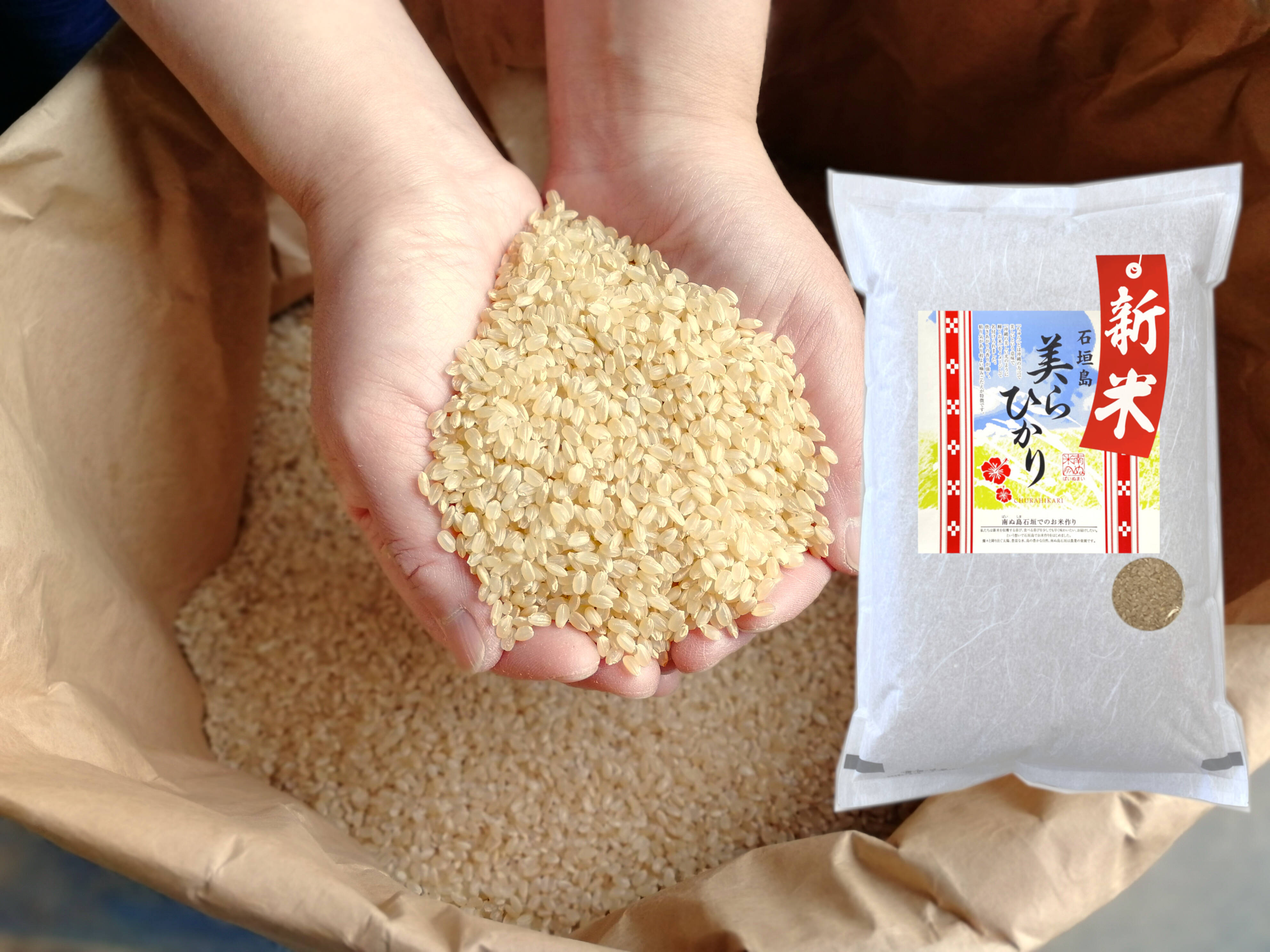 新米【玄米5kg】残留農薬ゼロ！ 石垣島産 美らひかり 令和５年産：長野