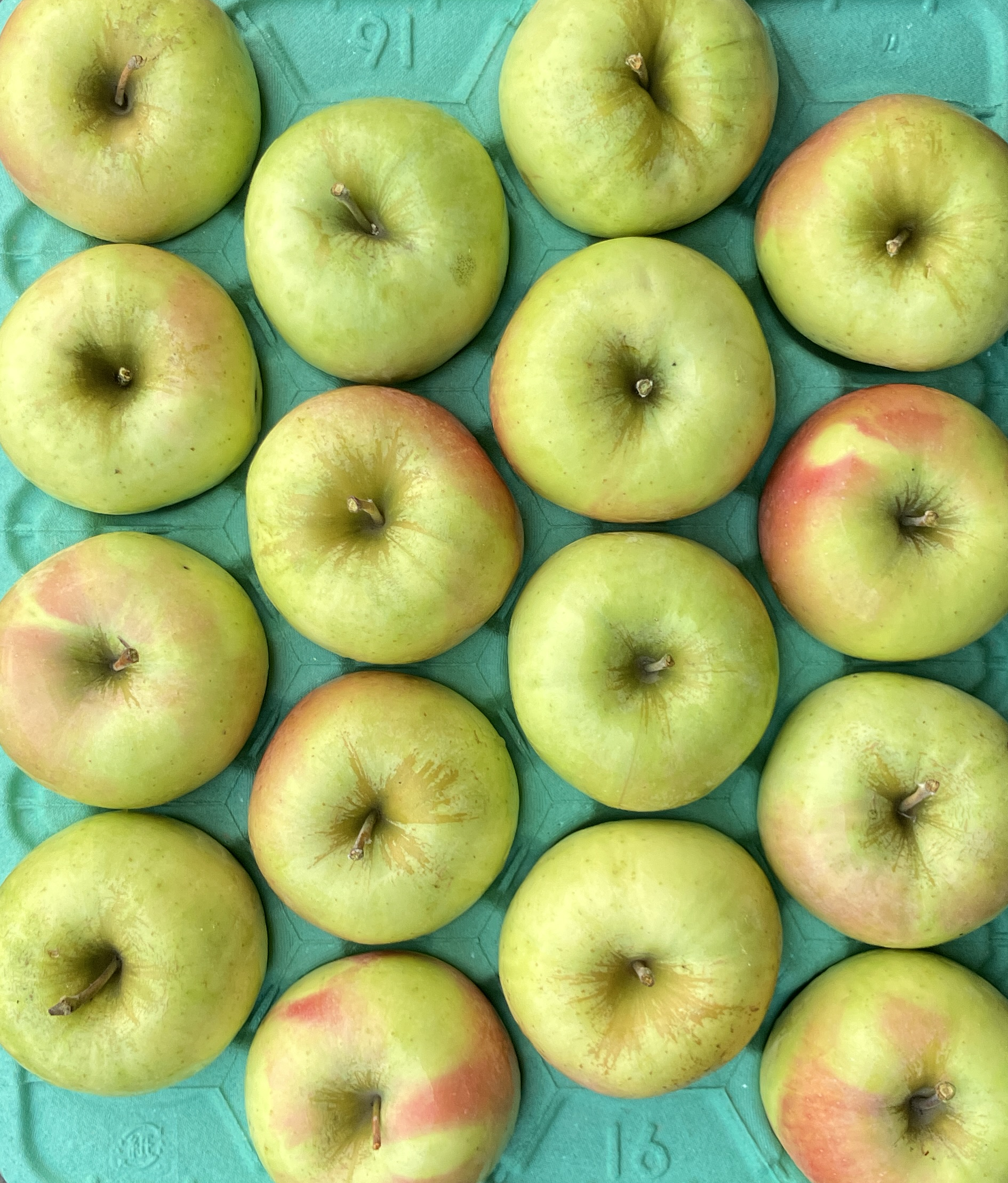 青森県産りんご(予約受付終了) 青森りんご詰め合わせ | 産地直送通販 | 青森りんご | RED APPLE