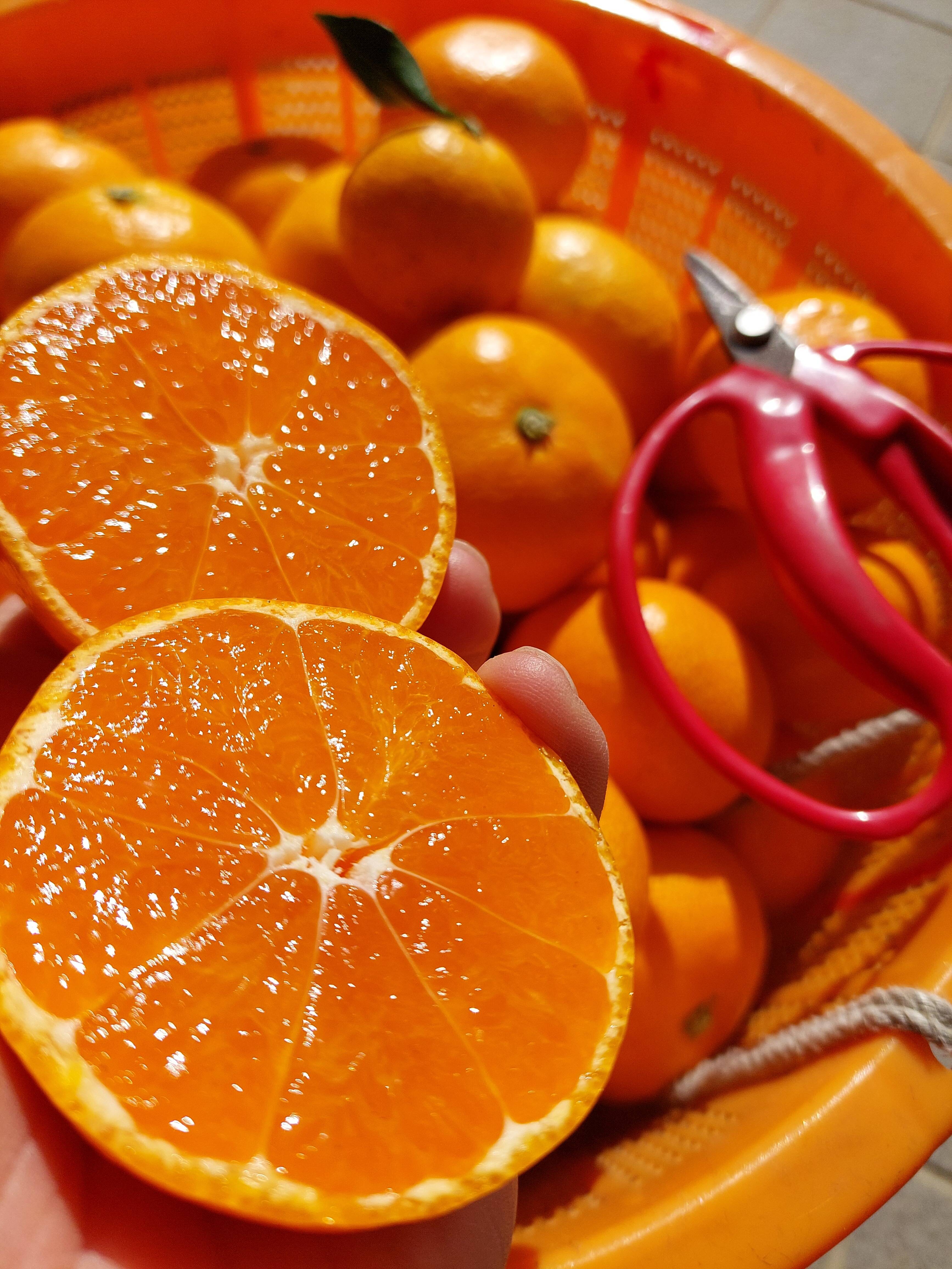 有田みかん【サイズ混合】2 kg（箱込）：和歌山県産のみかん・柑橘類