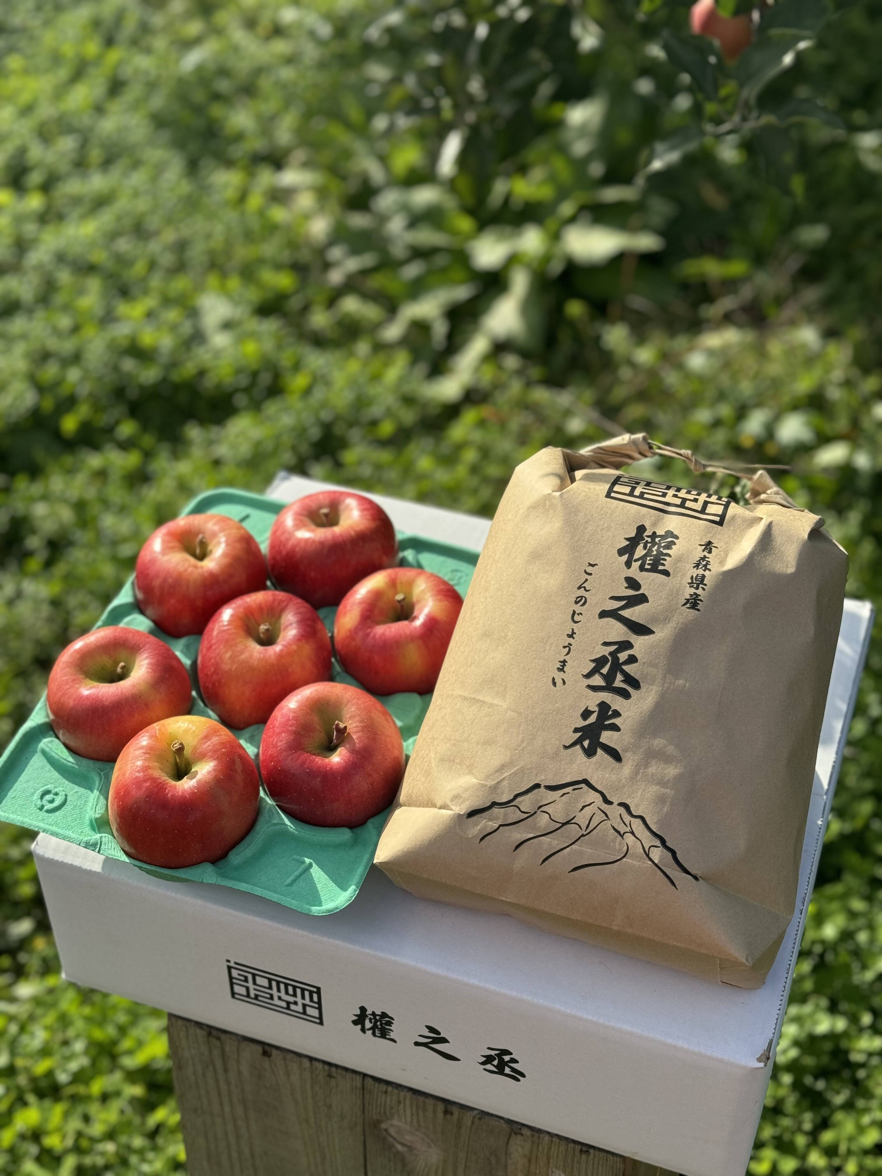 りんご＆お米！2026年産新米 まっしぐら（白米）5kgと【🏆2025年りんご