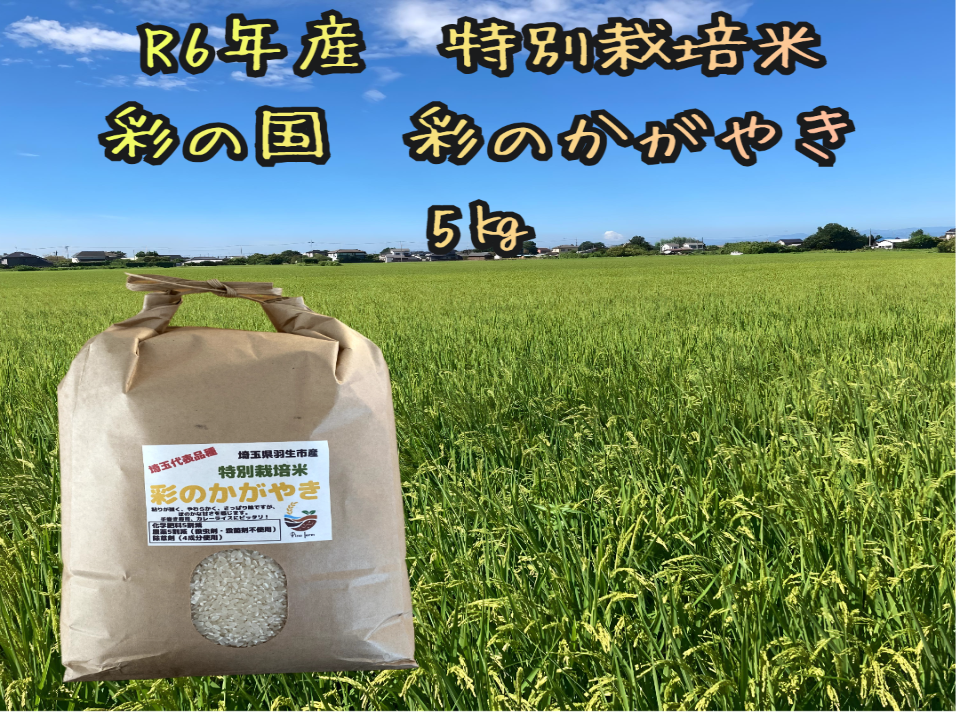 新米　令和5年度産　お米(彩のかがやき) &野菜サービス 埼玉ブランド米「彩のかがやき」「彩のきずな」や「ピロール米」「減
