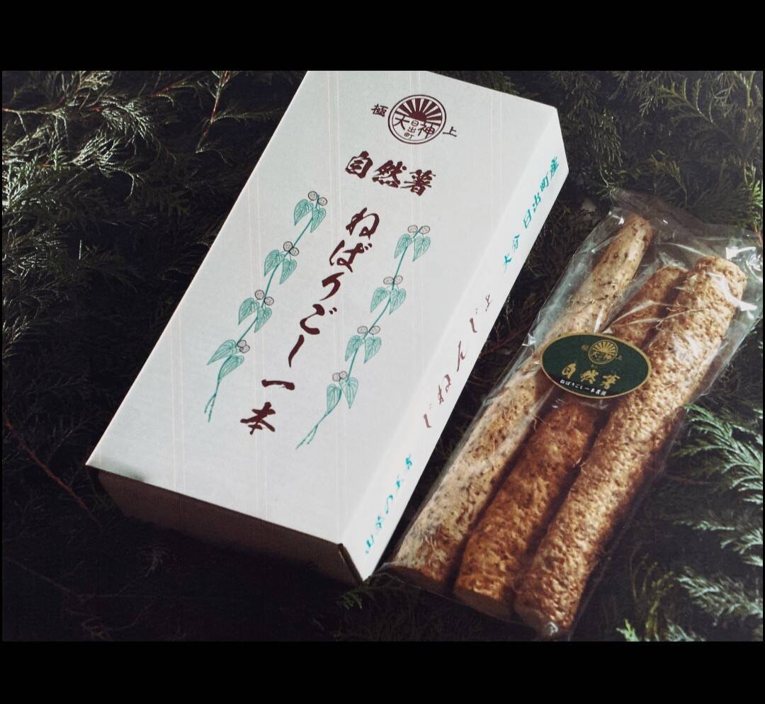 すぐにお渡しできます ♪黒部産・超粘り！赤土粘土の天然自然薯1本物・長尺1,420mm≒900g 冬ギフト】とろっとろ 大分県産 自然薯 「ねばりごし一本」（カット