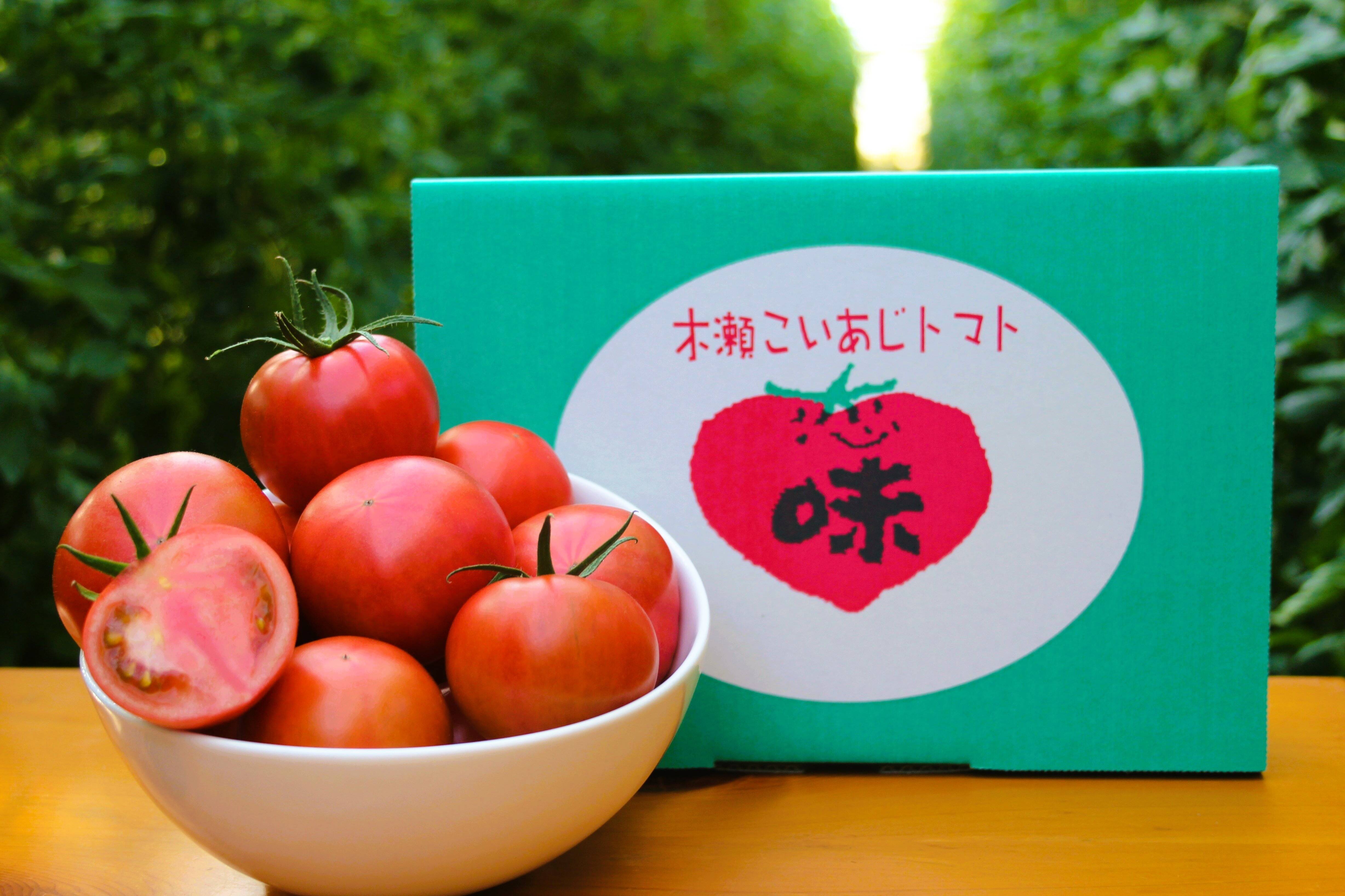予約でおトク》旨みたっぷり 高糖度フルーツトマト