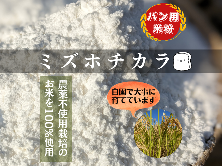 どんぐり農園のパン用米粉1kg（ミズホチカラ）：静岡県産の