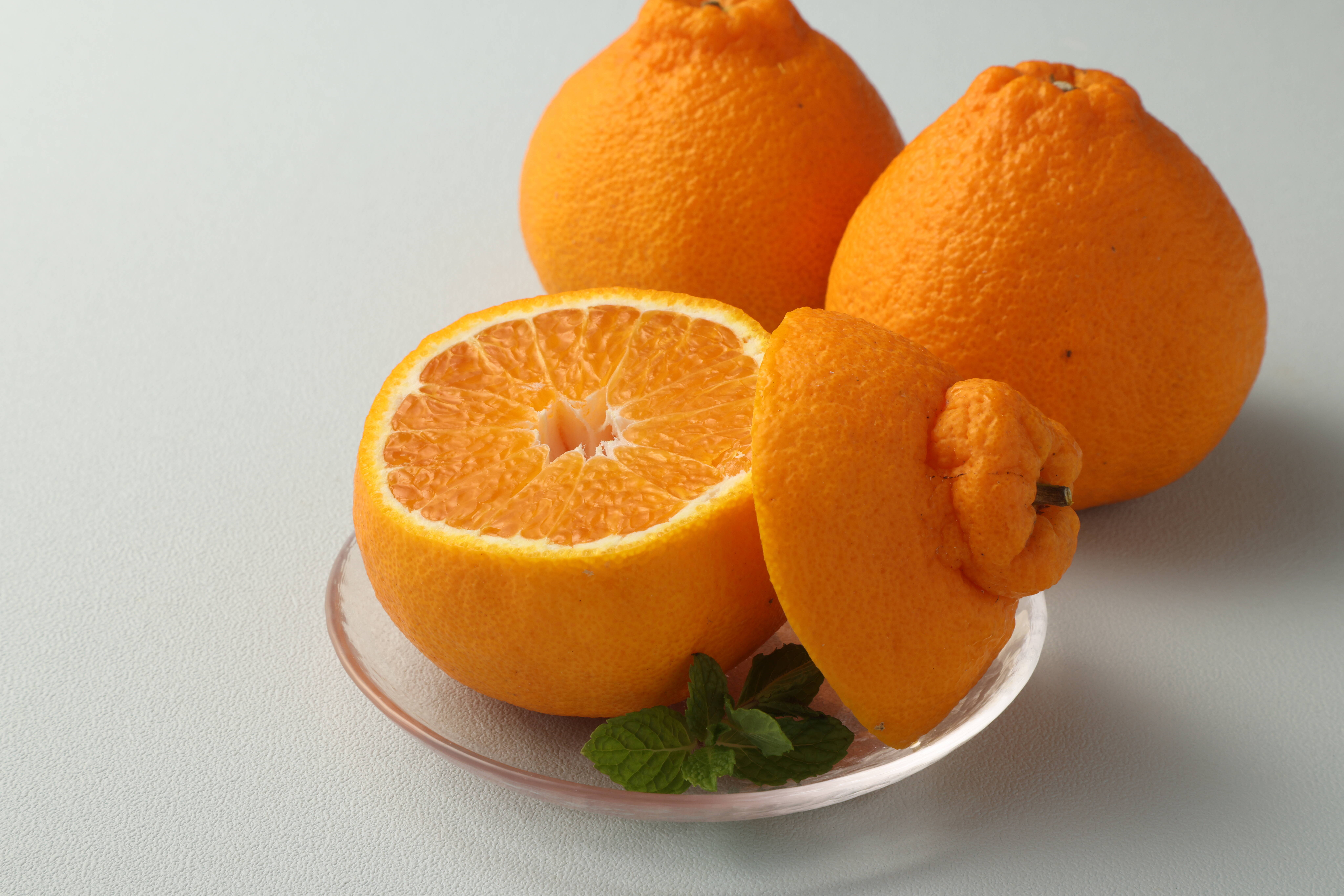 熊本大見柑🍊プラズマ完熟ハウス不知火4.5kg（13～24玉）🍊 甘味と酸味