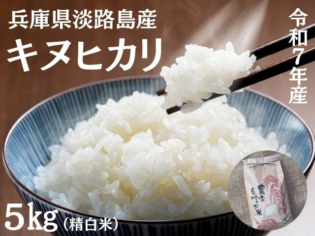 新米 令和7年産】淡路島産キヌヒカリ 5kg（精白米）：兵庫県産の